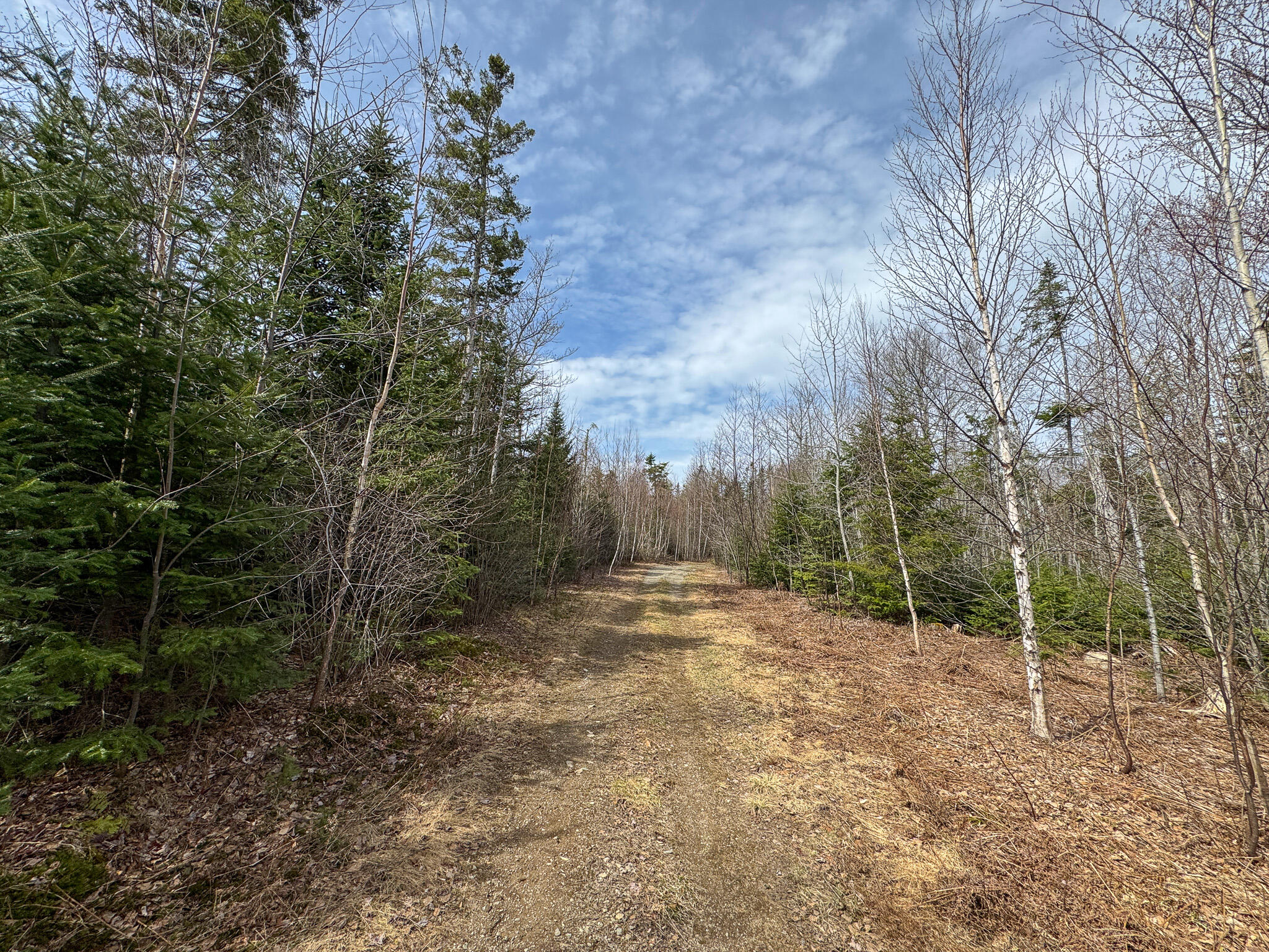 242 Bottle Lake Road Property Photo 35