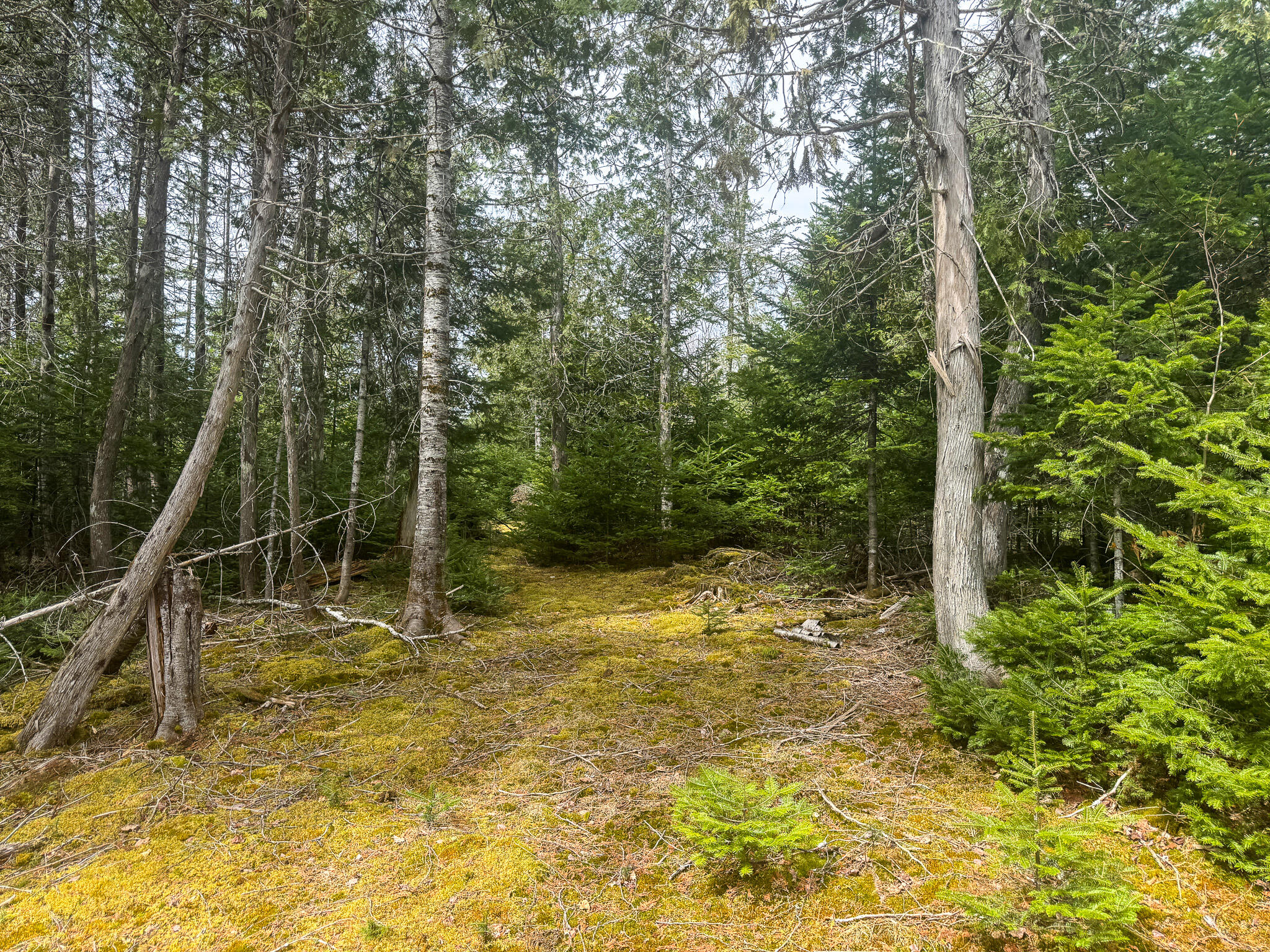242 Bottle Lake Road Property Photo 36