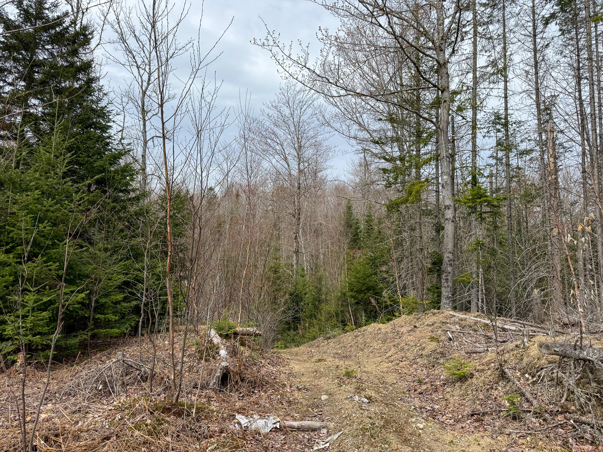 242 Bottle Lake Road Property Photo 38
