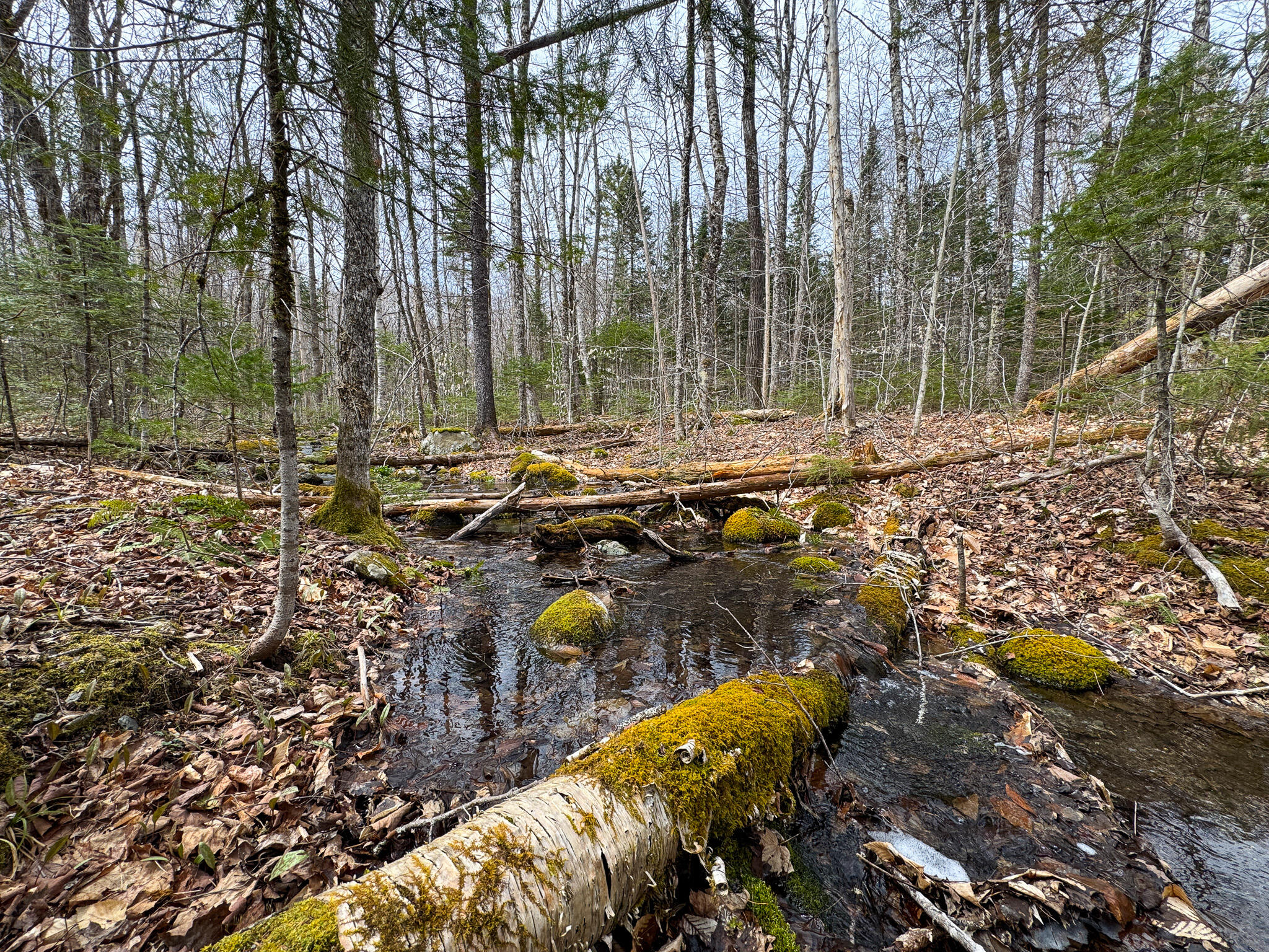 242 Bottle Lake Road Property Photo 39