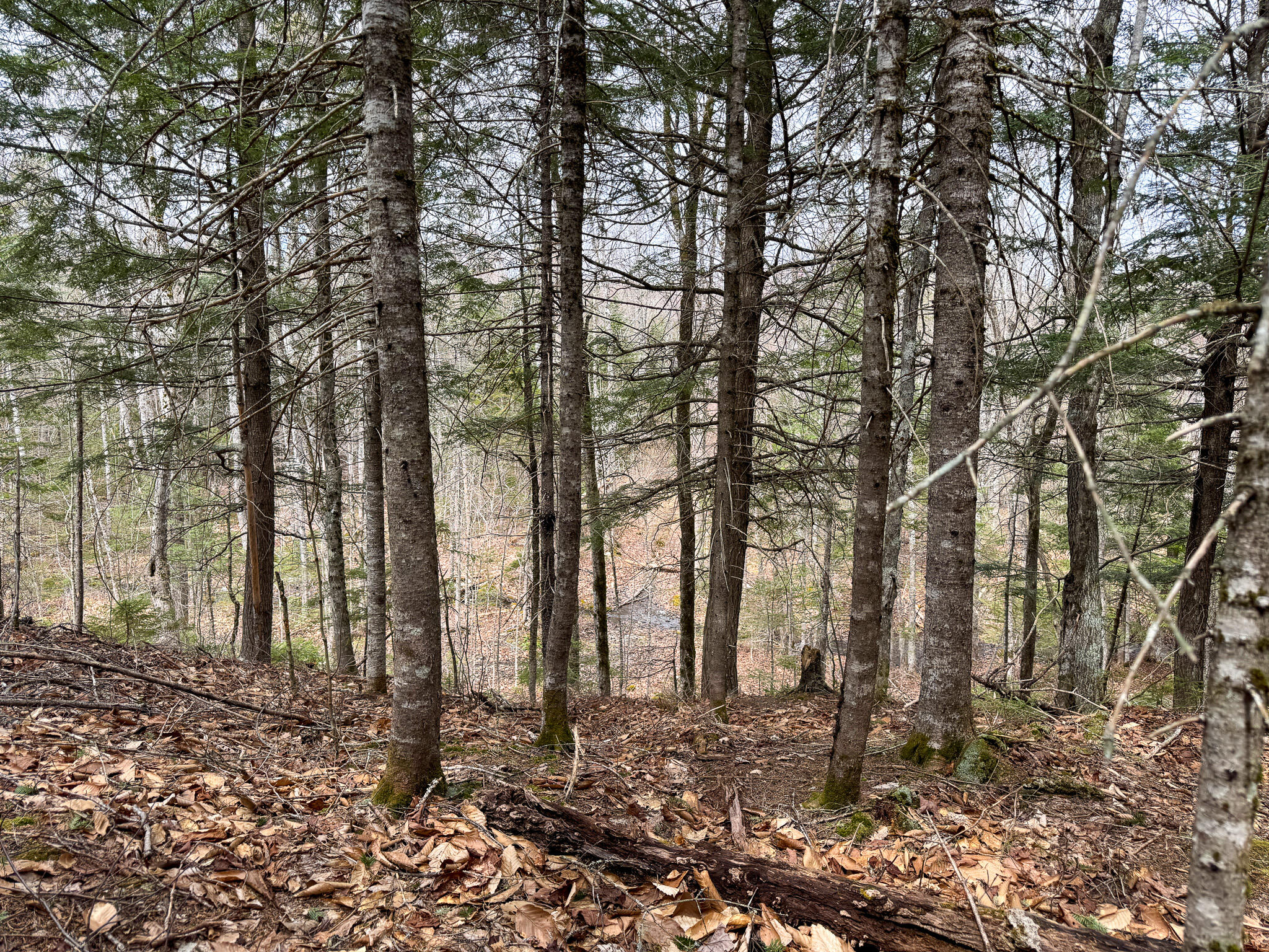 242 Bottle Lake Road Property Photo 41