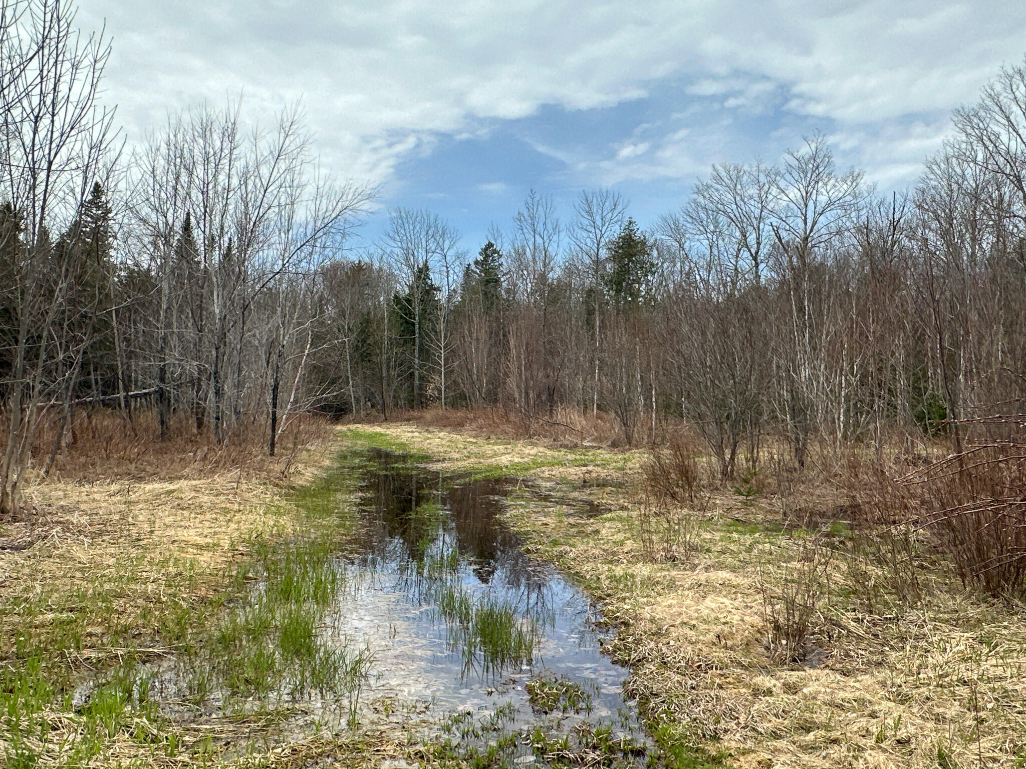 242 Bottle Lake Road Property Photo 44