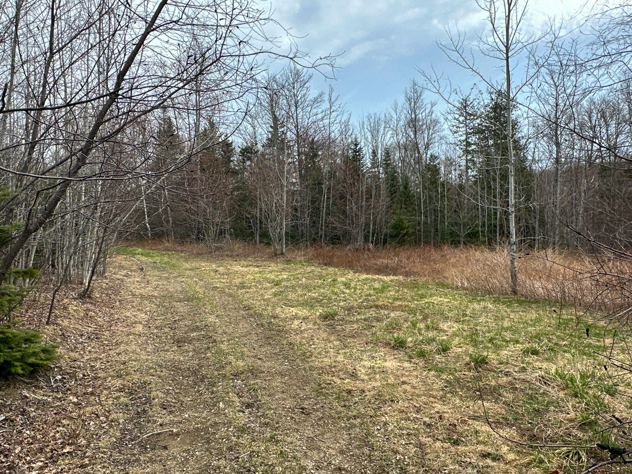 242 Bottle Lake Road Property Photo 45