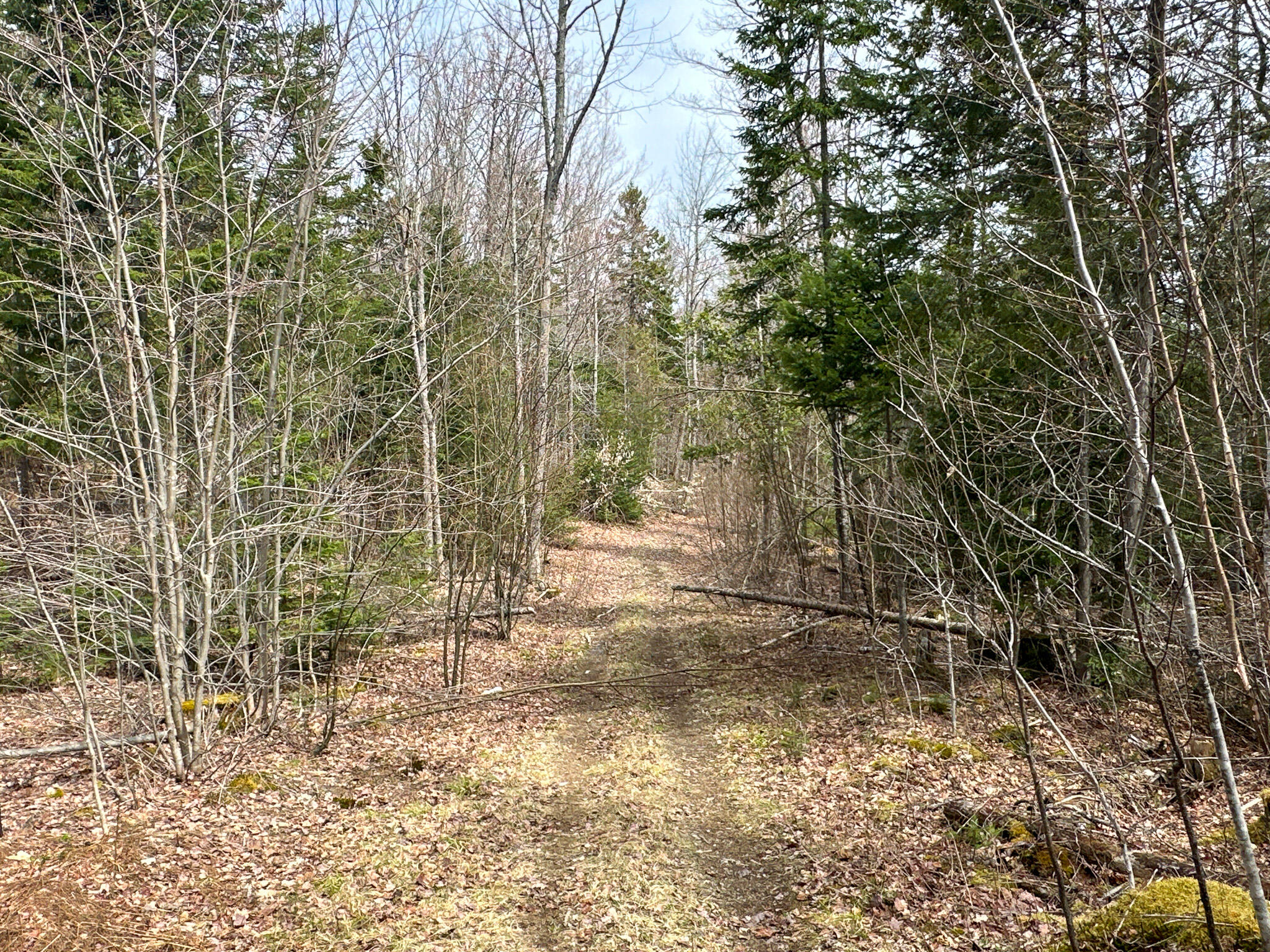242 Bottle Lake Road Property Photo 46