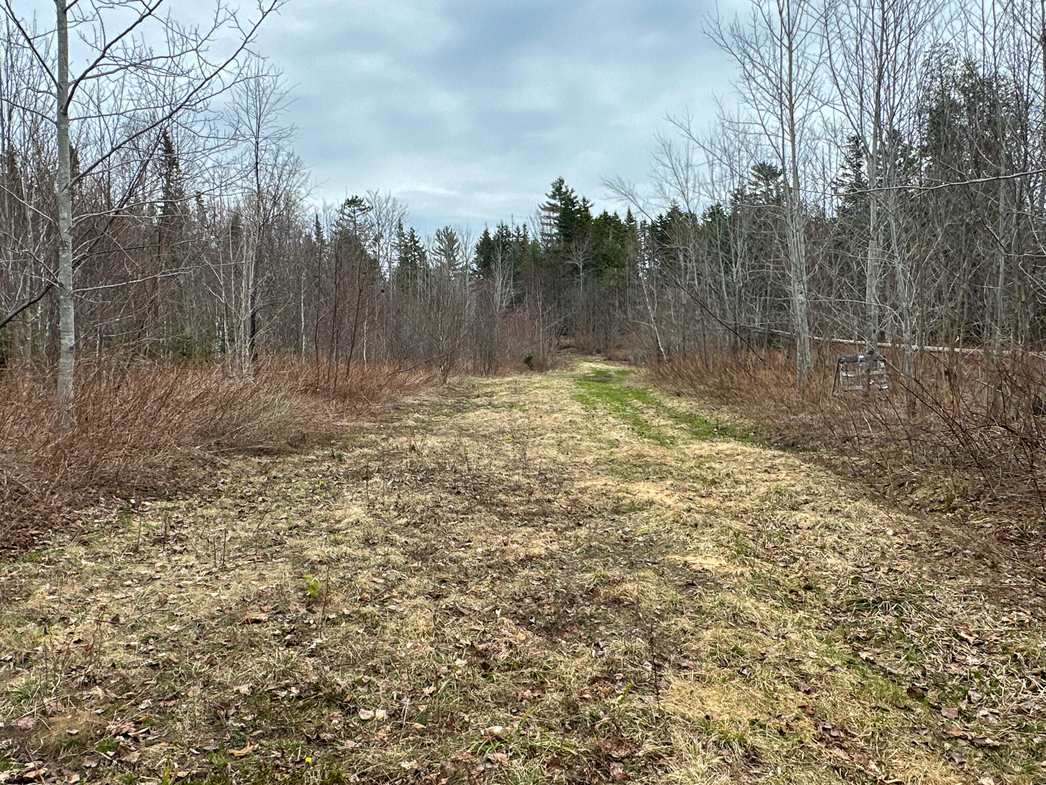 242 Bottle Lake Road Property Photo 47