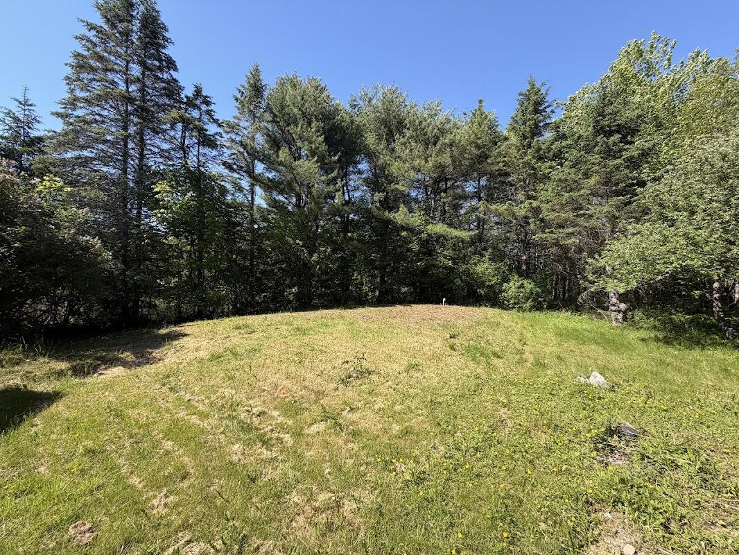 1183 River Road Property Photo 16