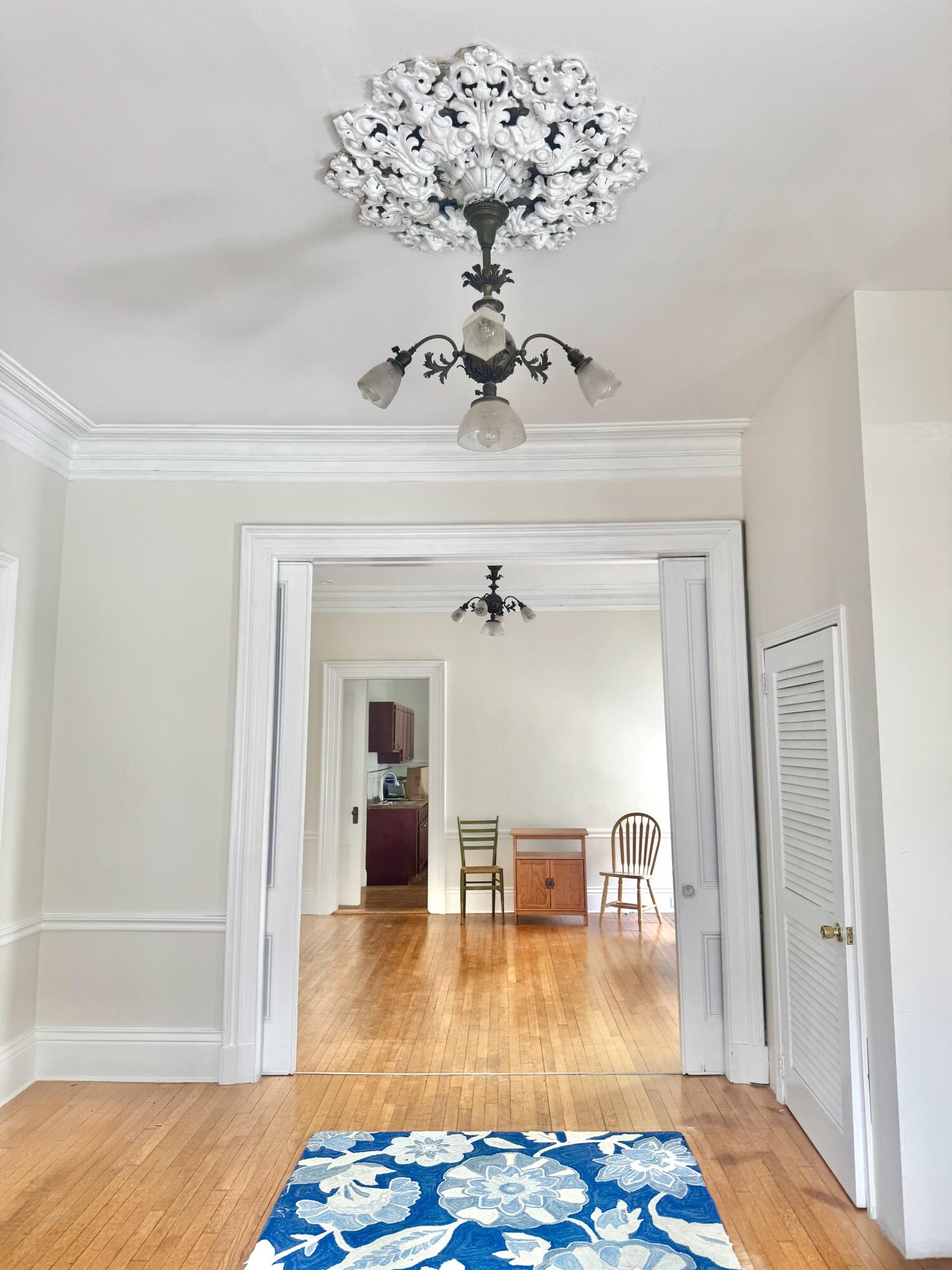 52 Carleton Street Property Photo 9