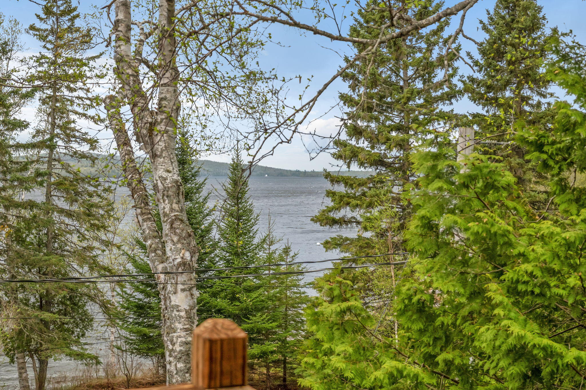 110 Lakeside Lodges Road Property Photo 32