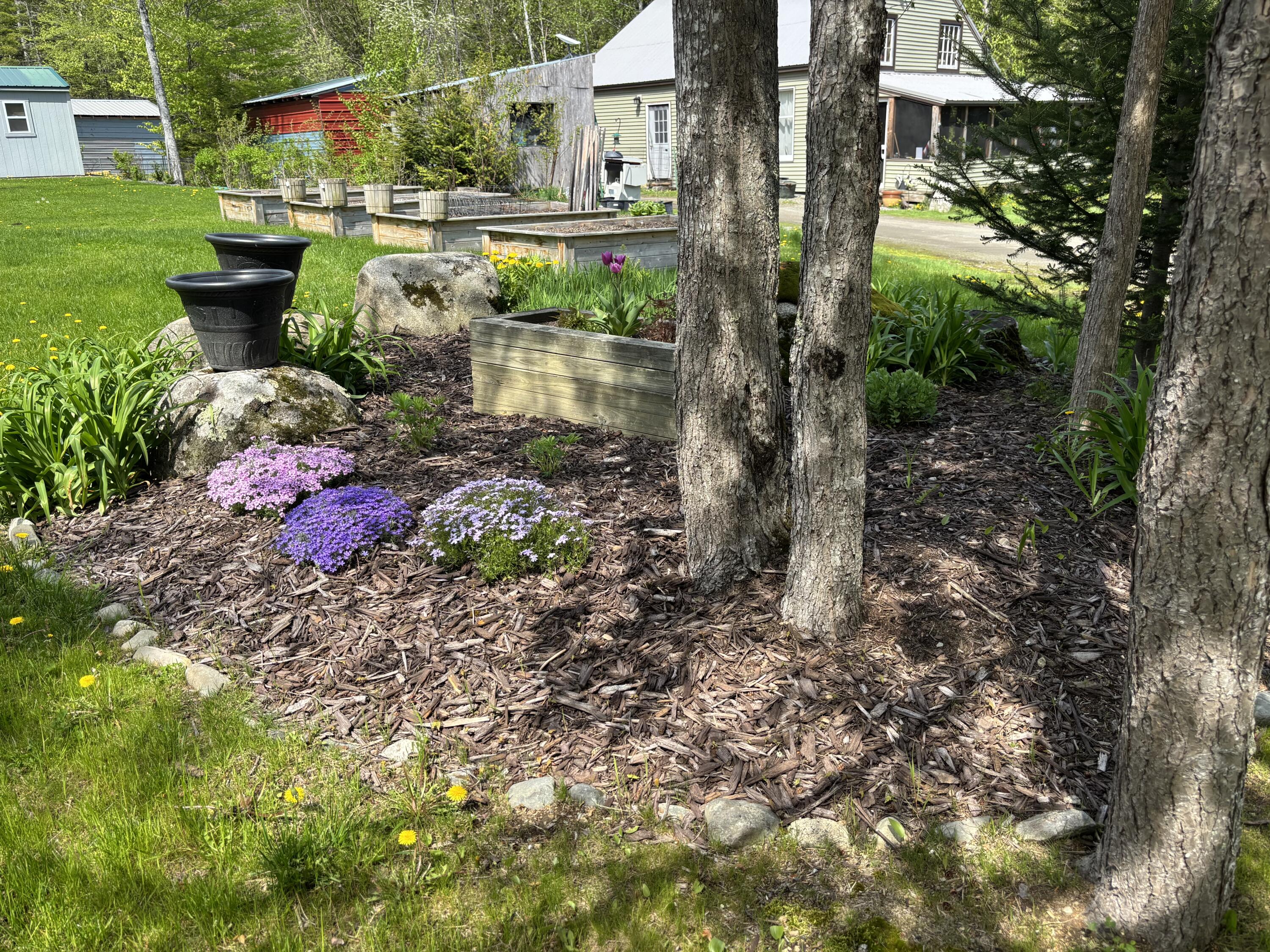 188 Springer Road Property Photo 7