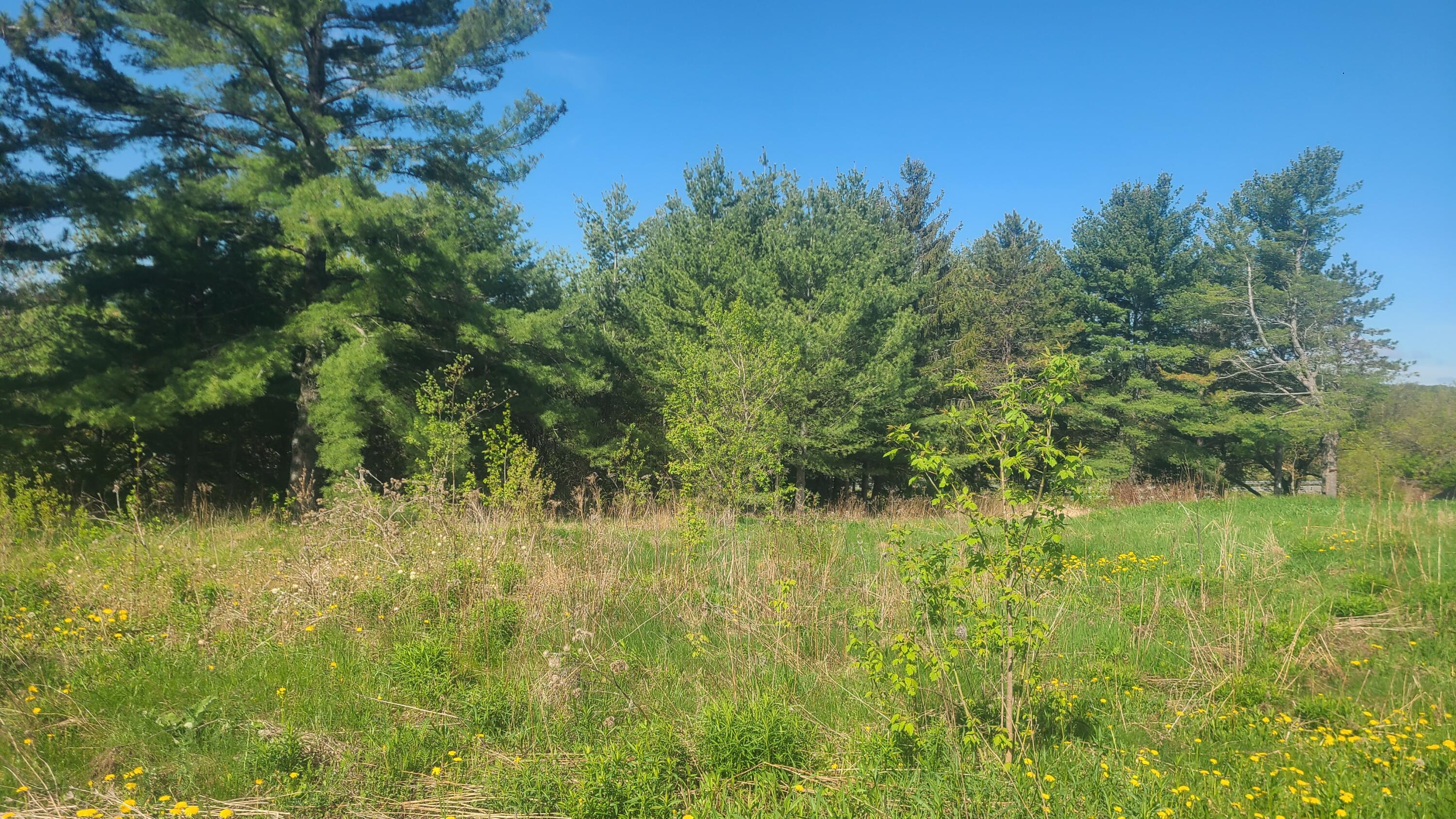 58 Pondview Street Property Photo 3