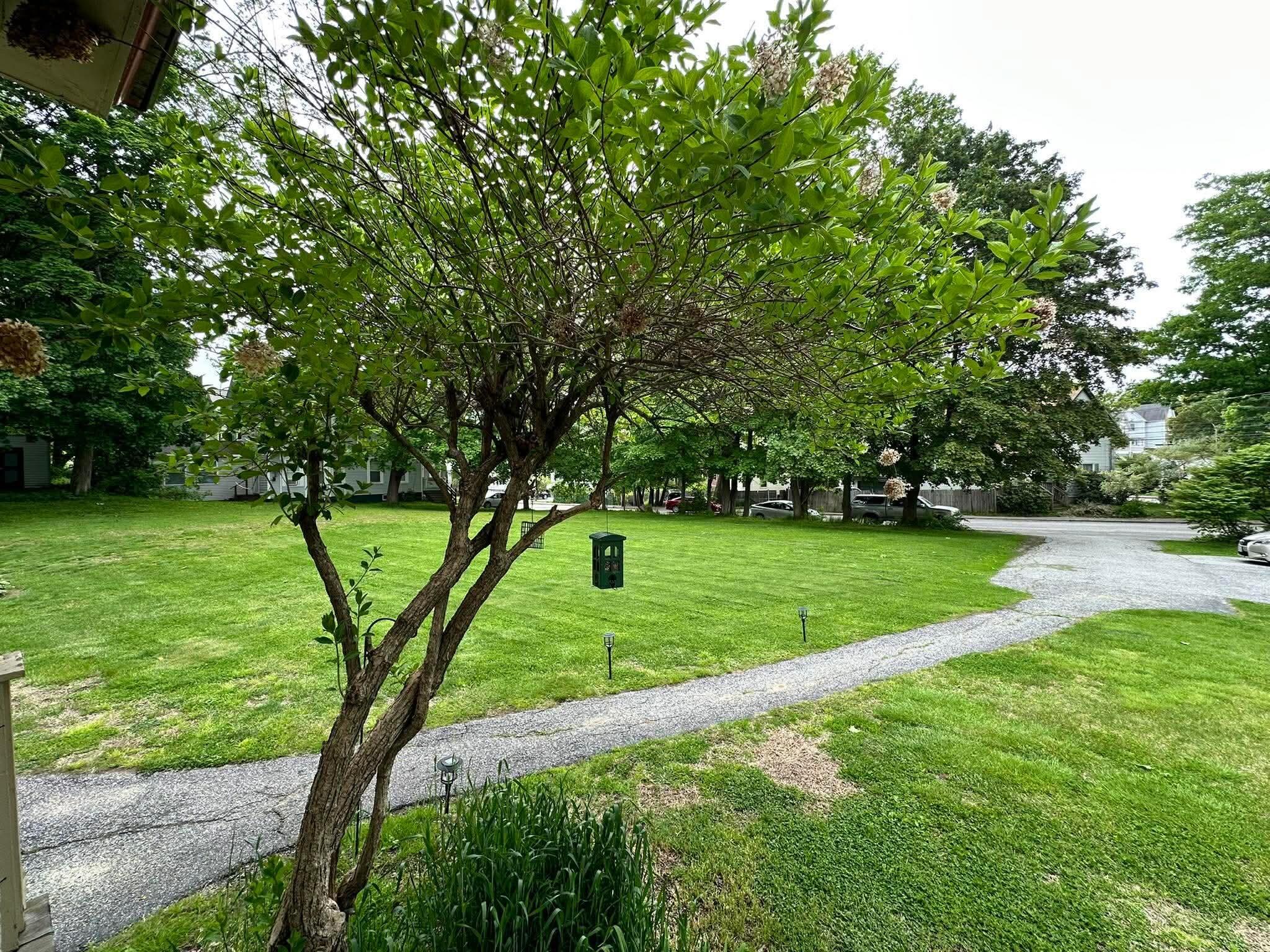 4 Haskell Street 1 Property Photo 5