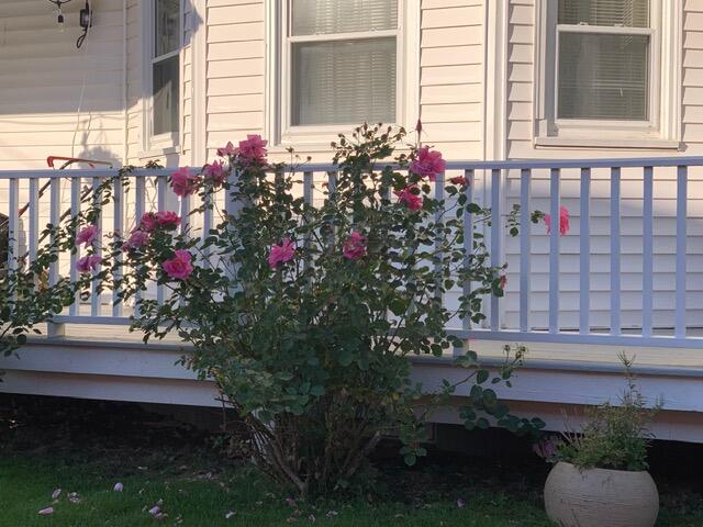 79 Park Street Property Photo 102