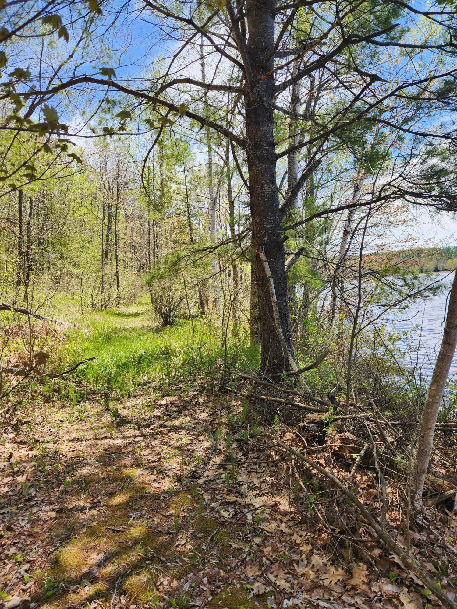 286 Staples Hill Road Property Photo 65