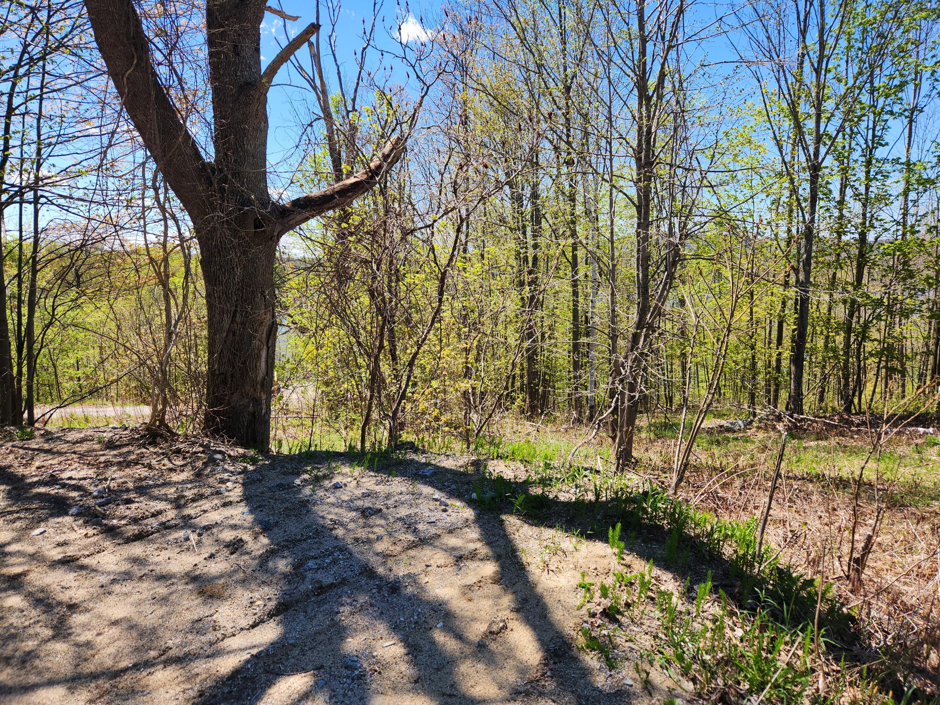 286 Staples Hill Road Property Photo 66
