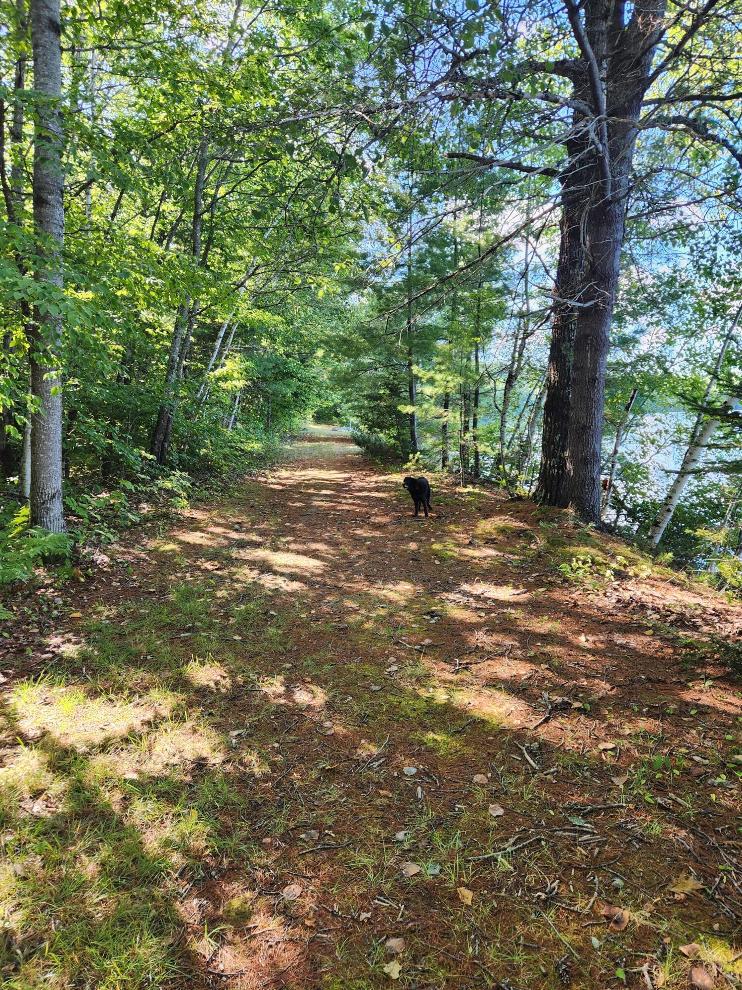 286 Staples Hill Road Property Photo 76