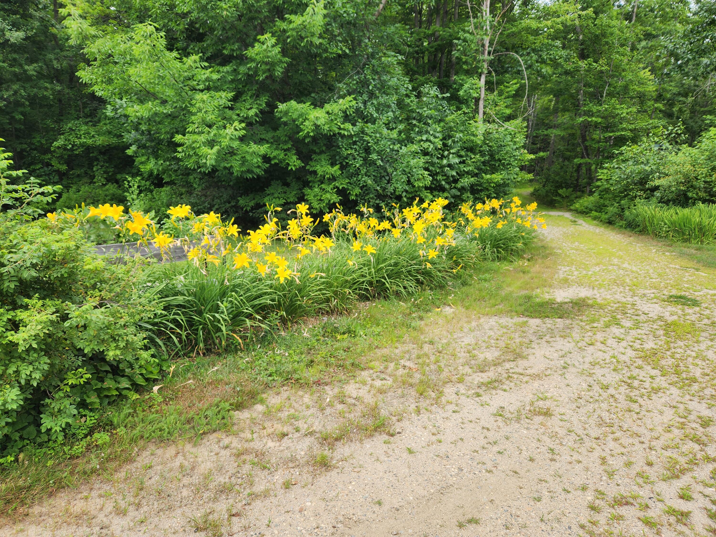 286 Staples Hill Road Property Photo 84