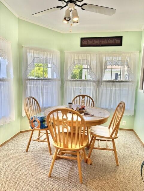 8 Windsor Drive Property Photo 9
