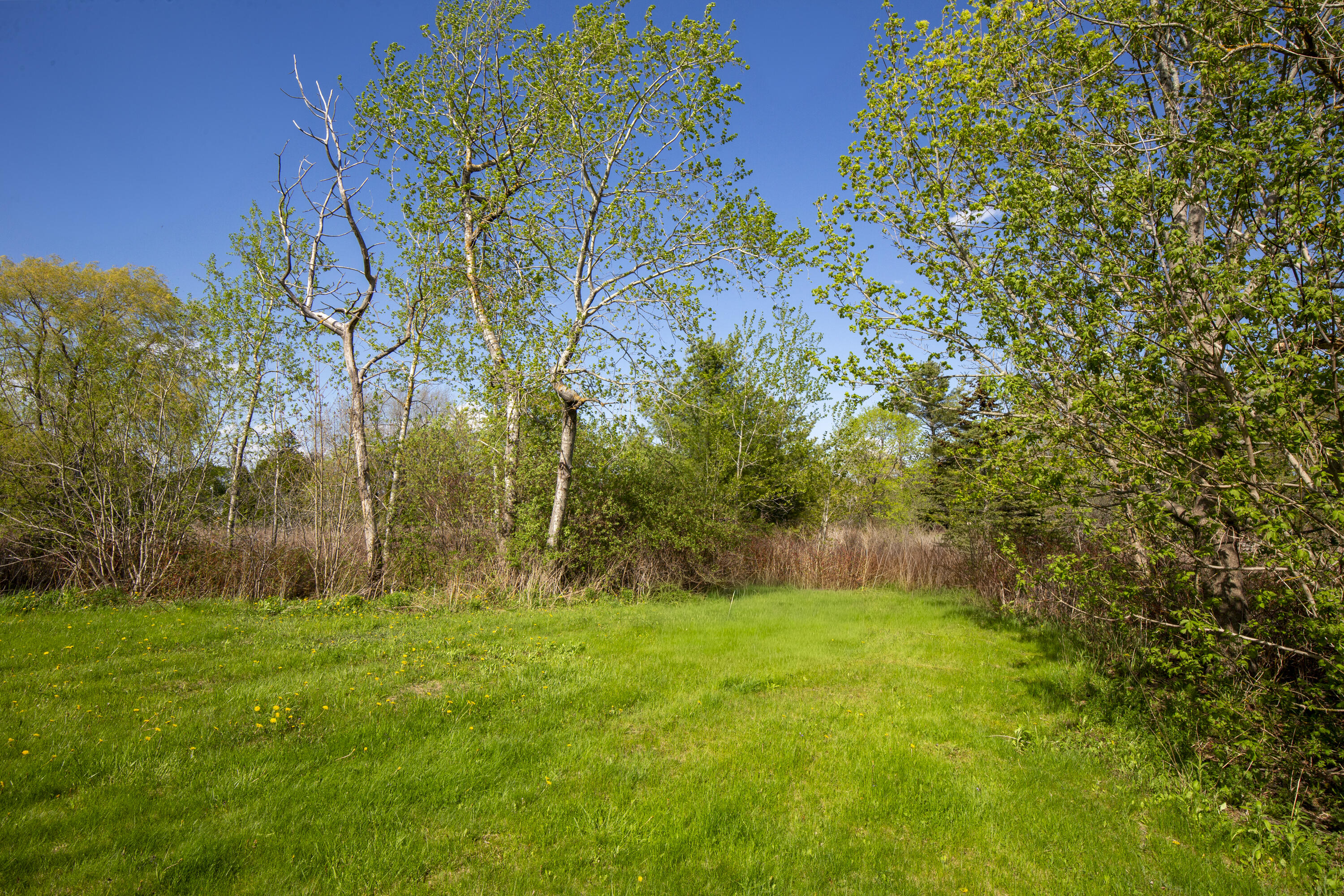 59 Broadway Property Photo 28