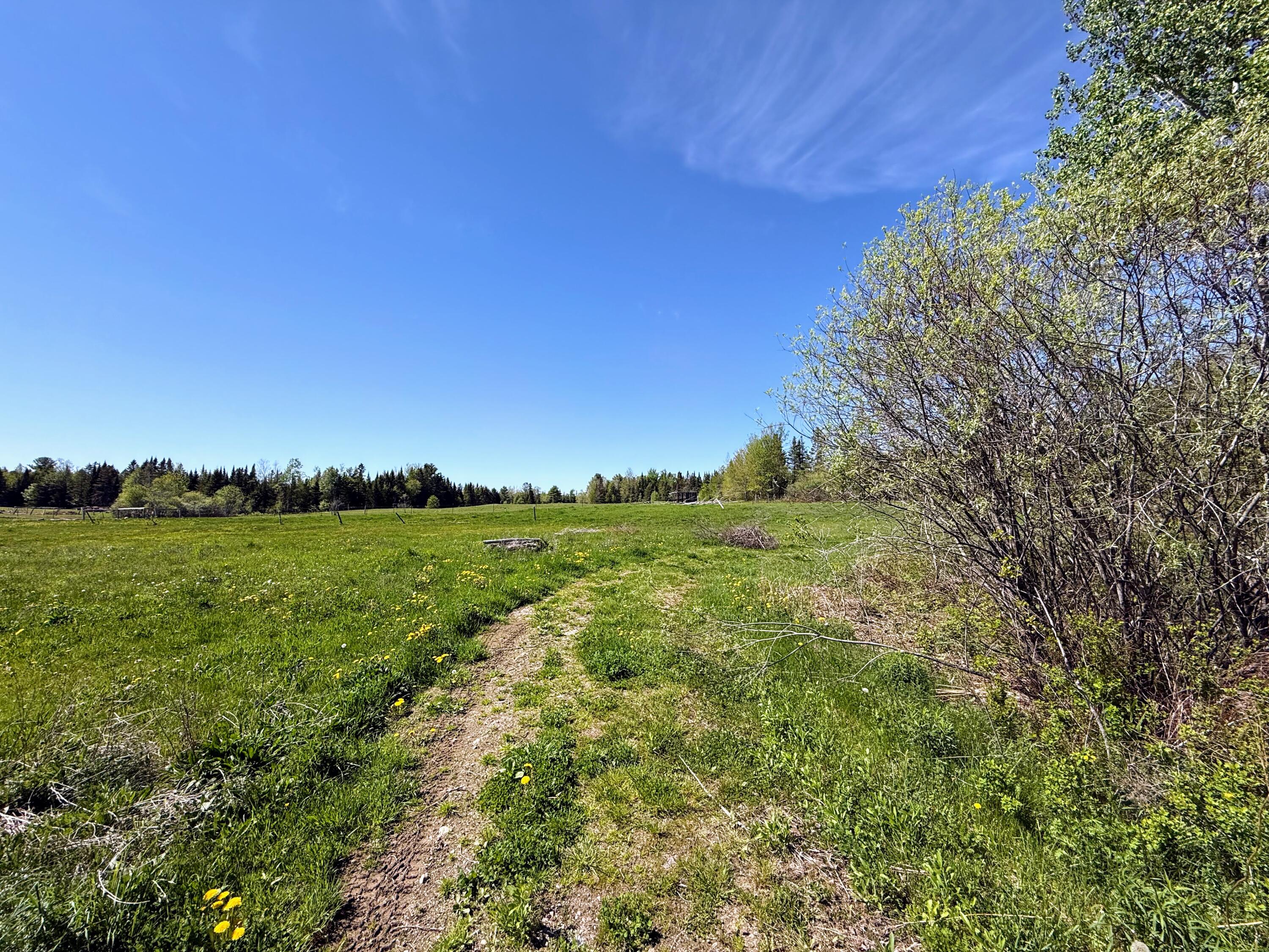 1118 Exeter Road Property Photo 35