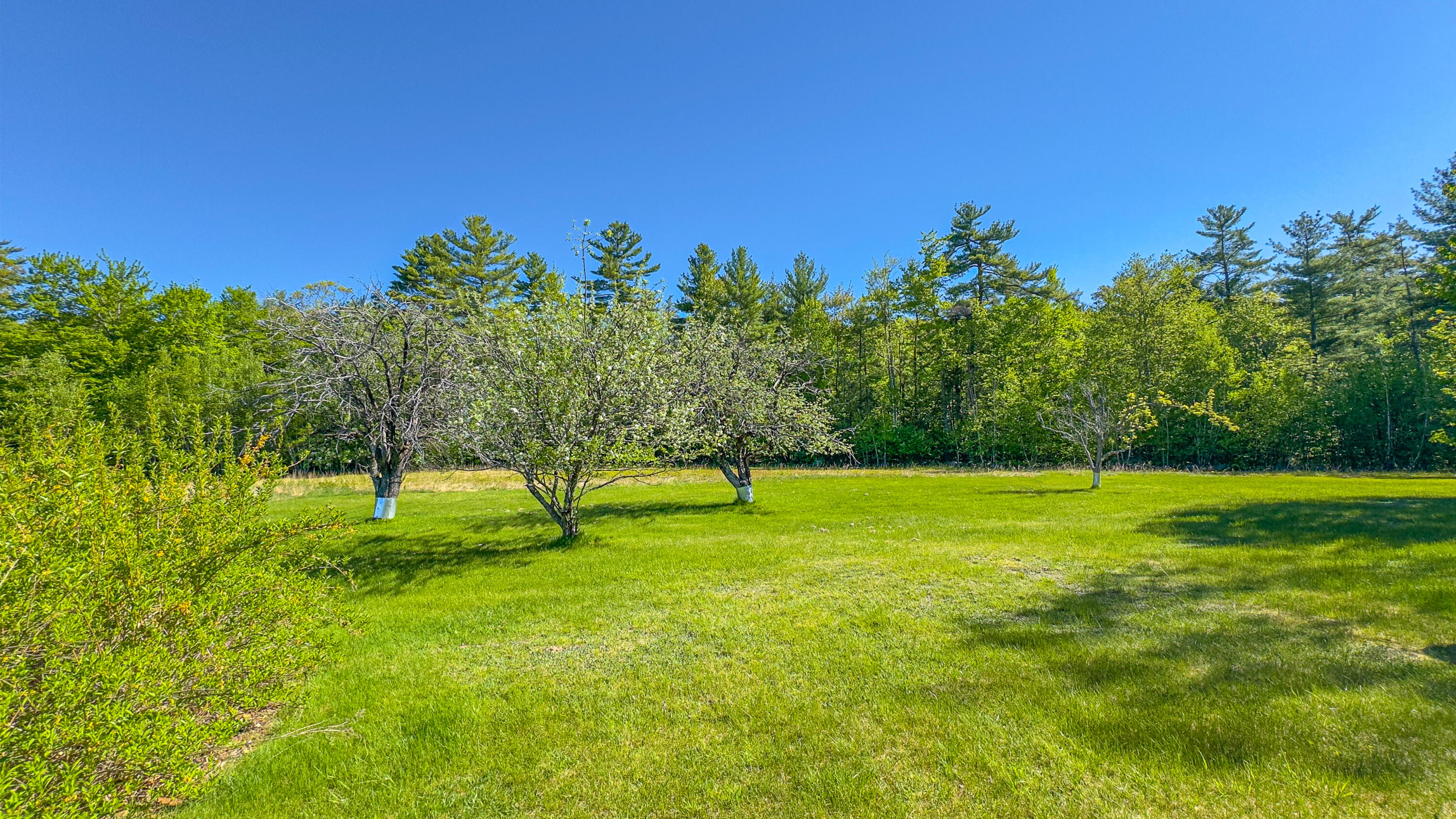 154 Allen Road Property Photo 6