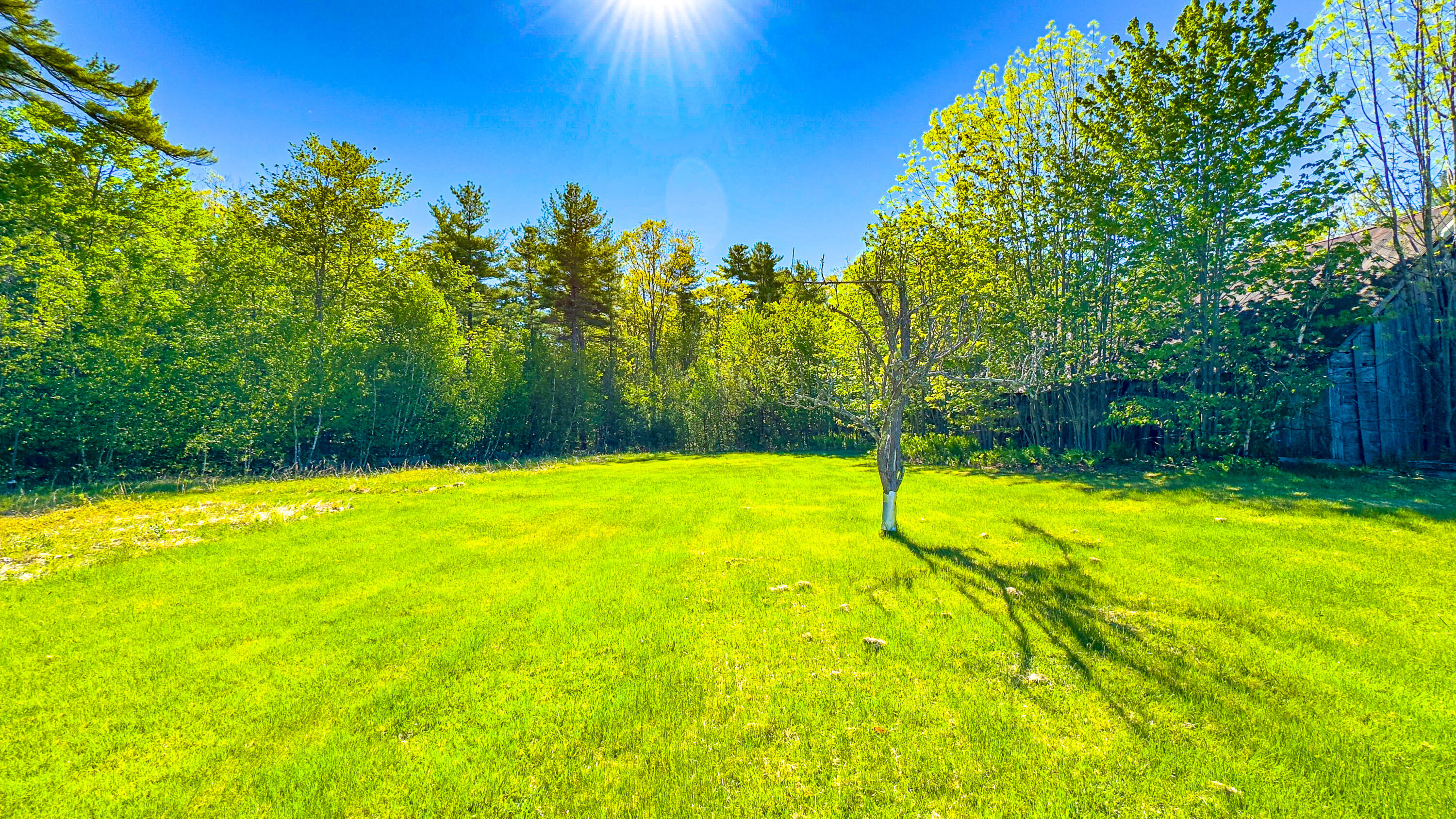 154 Allen Road Property Photo 9