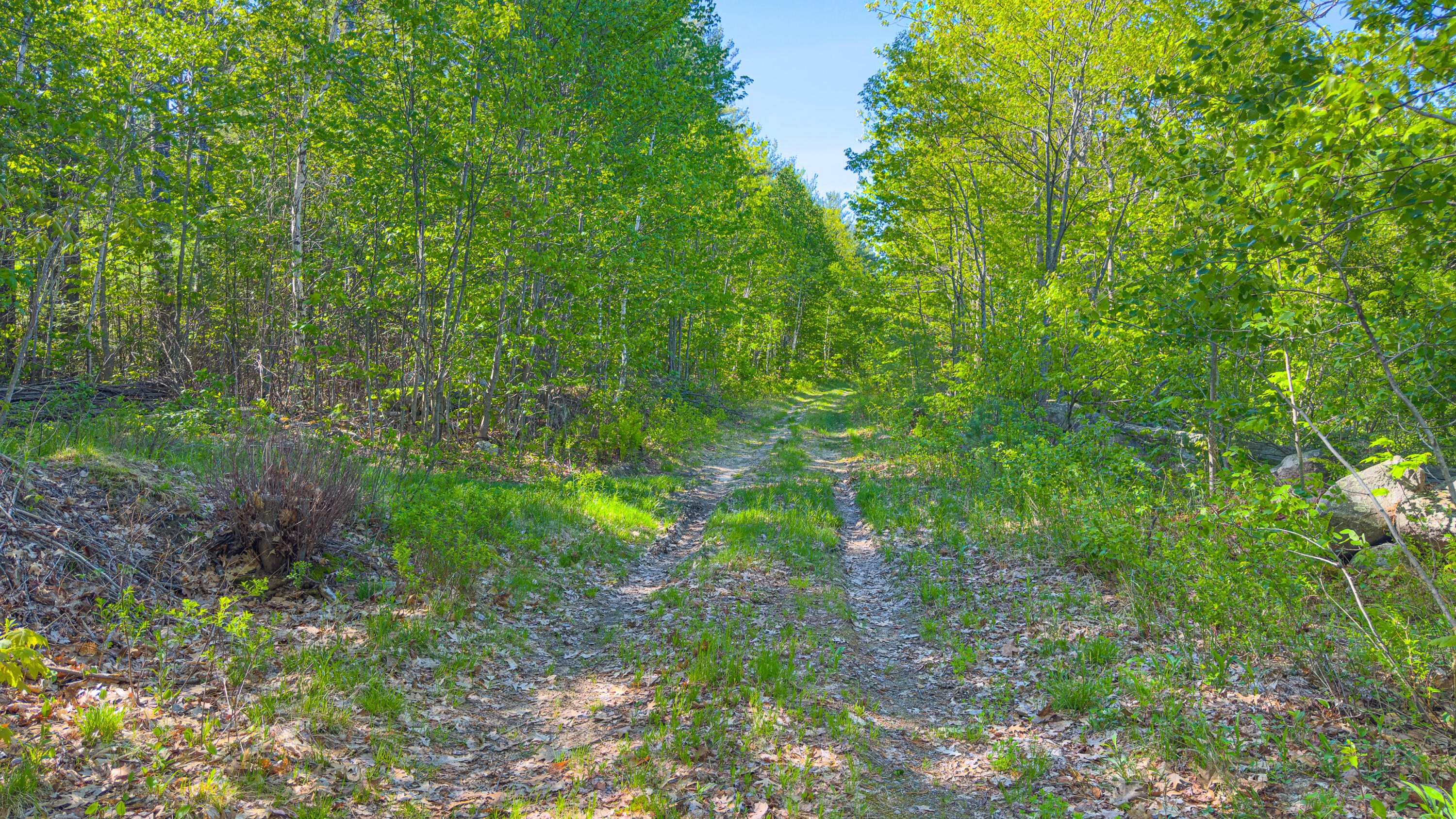 154 Allen Road Property Photo 16