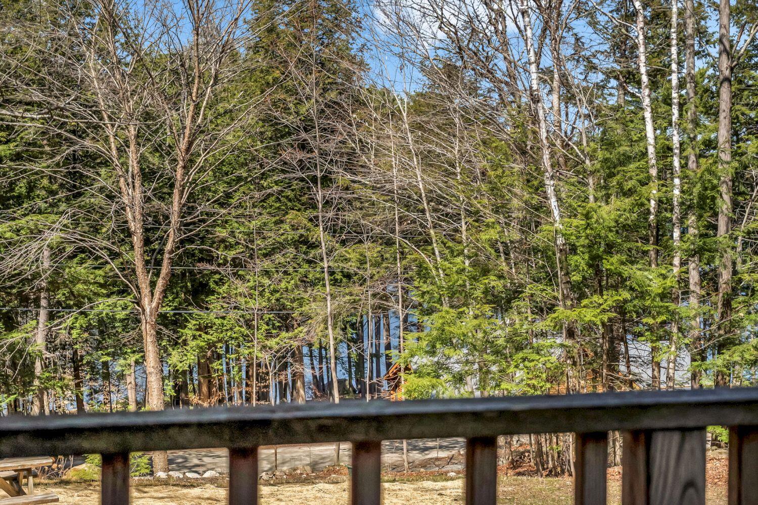 59 Fellows Cove Road Property Photo 75