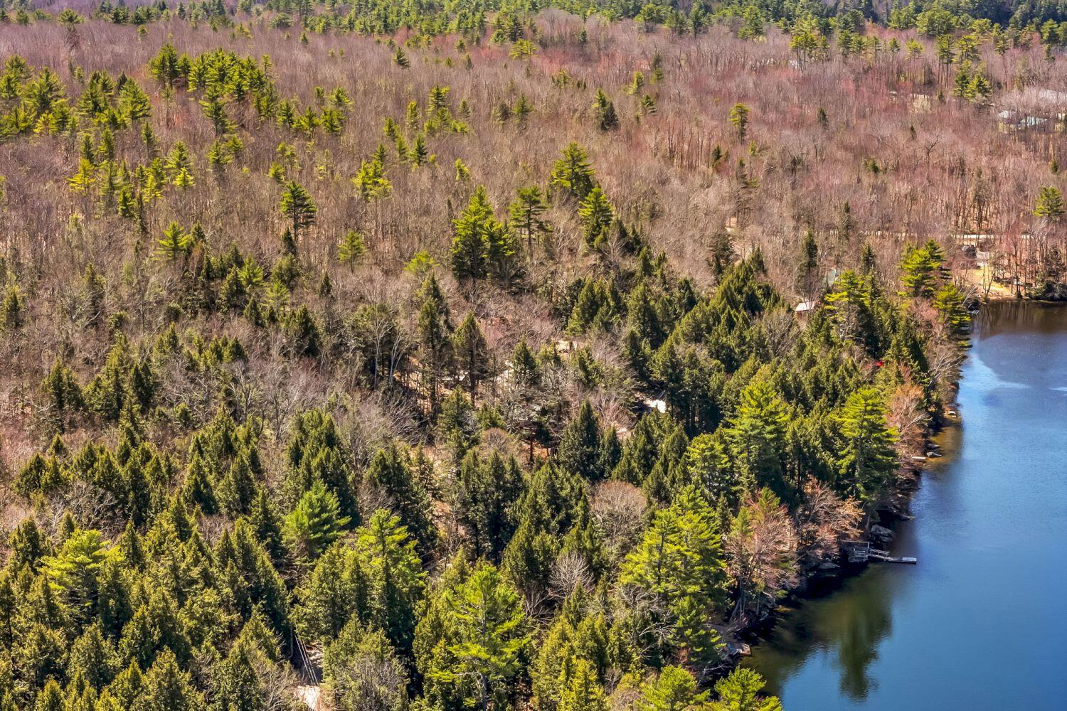59 Fellows Cove Road Property Photo 82