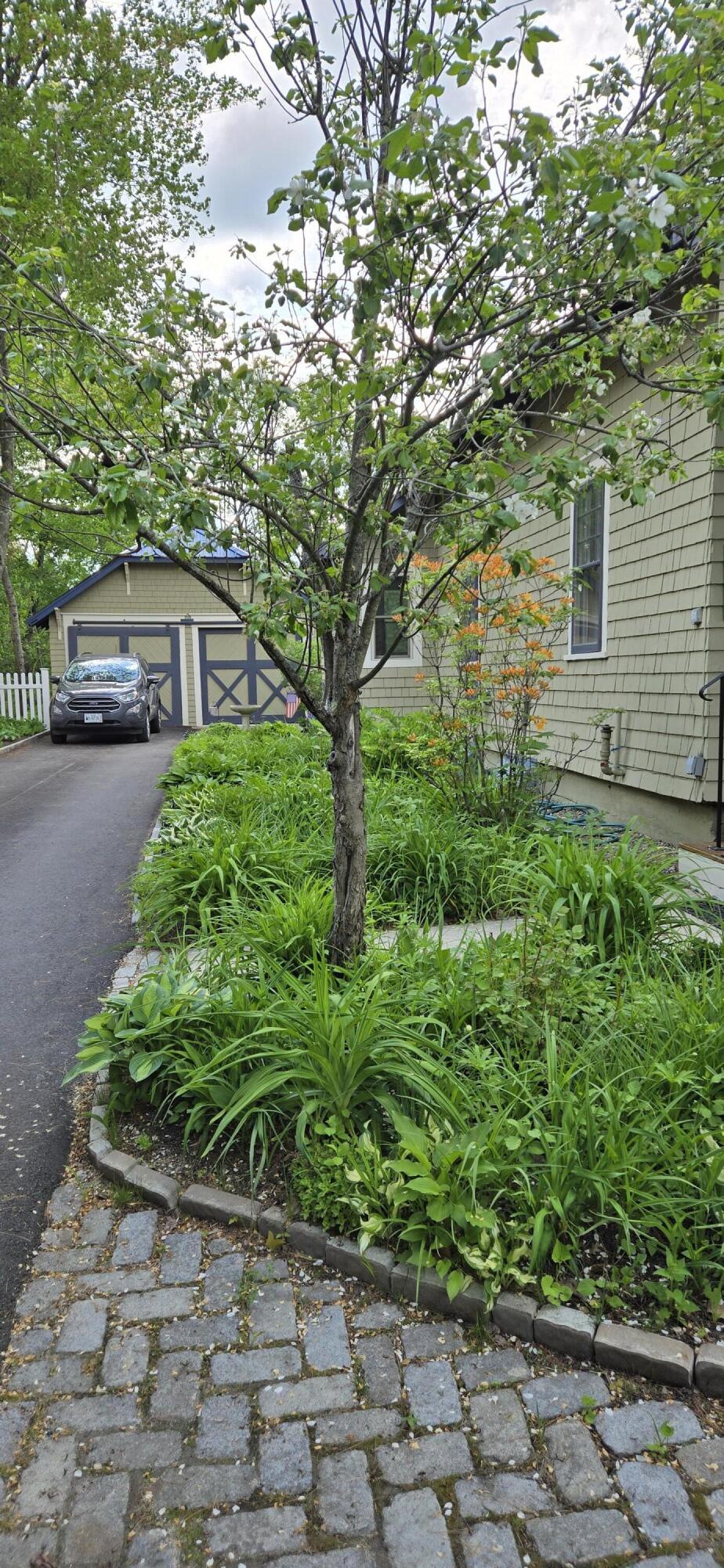 53 Portland Road Property Photo 78