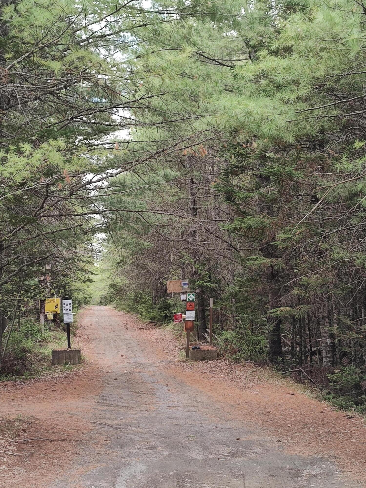 468 Sangerville Line Road Property Photo 23