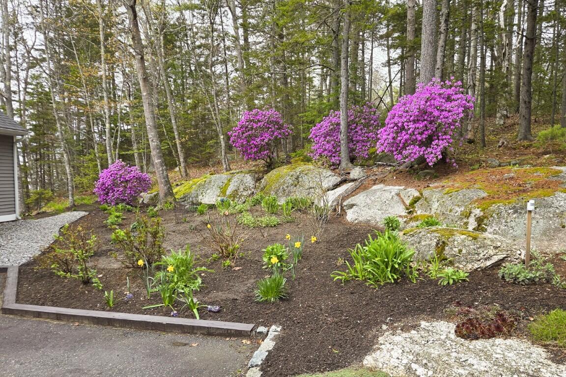 564 West Side Road Property Photo 61