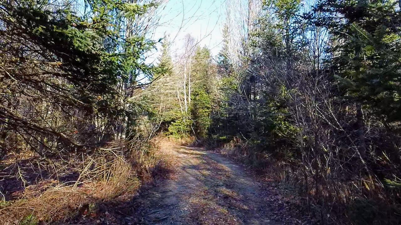 3 Middle Ground View Property Photo 12