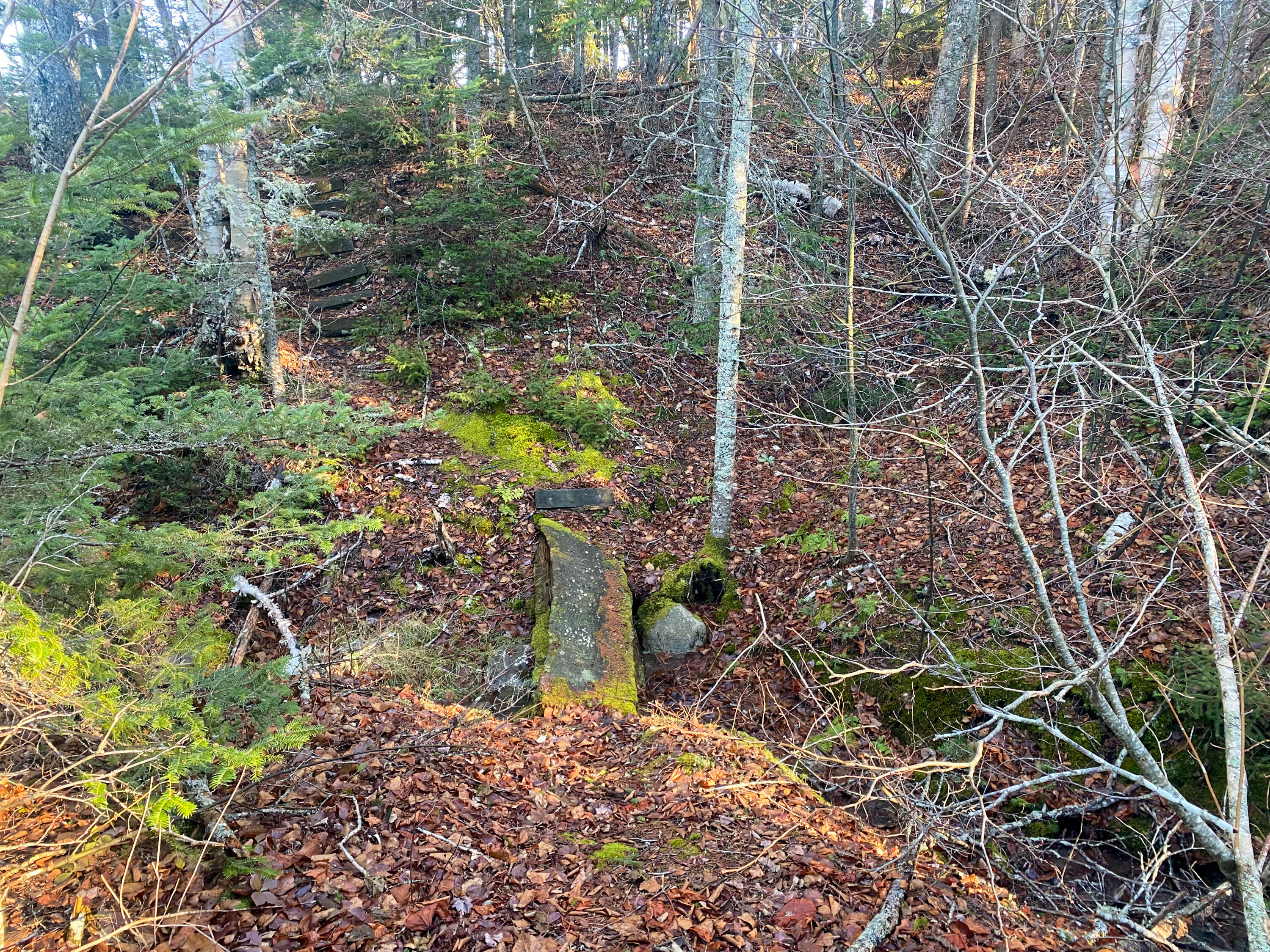3 Middle Ground View Property Photo 17