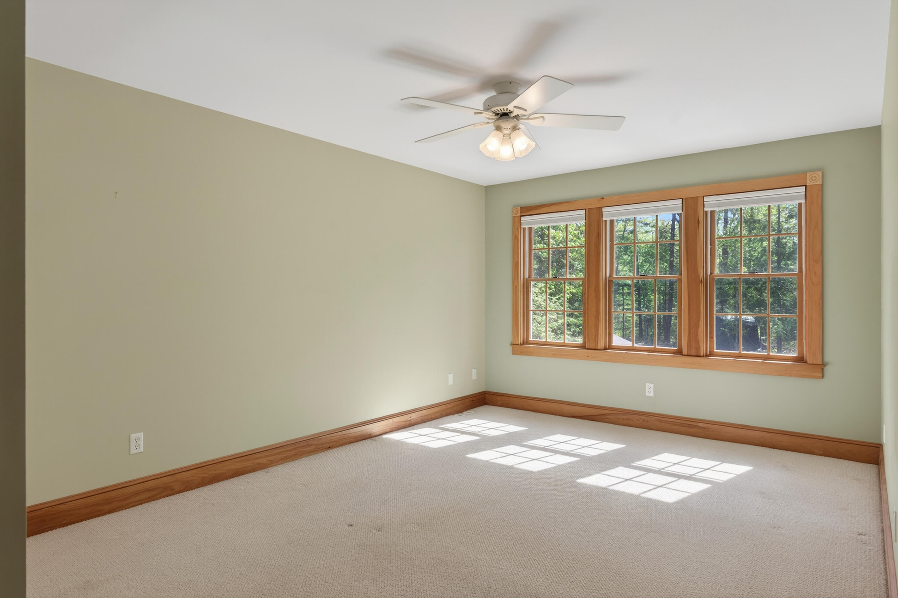12 Touchstone Drive Property Photo 25