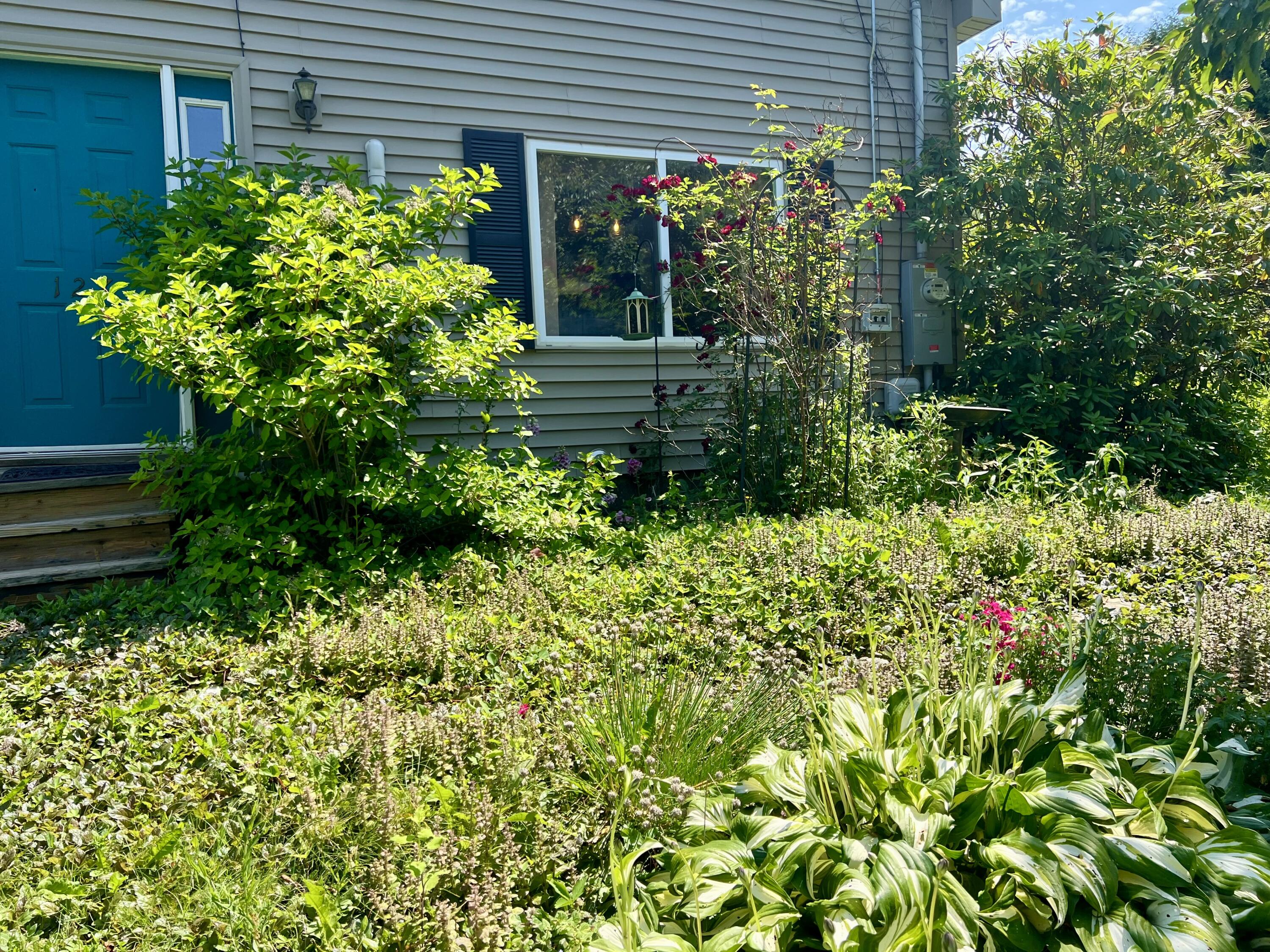127 Swan Lake Avenue Property Photo 75