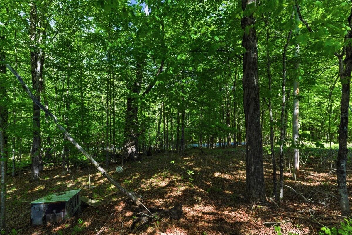 263 Number 6 Road Property Photo 19