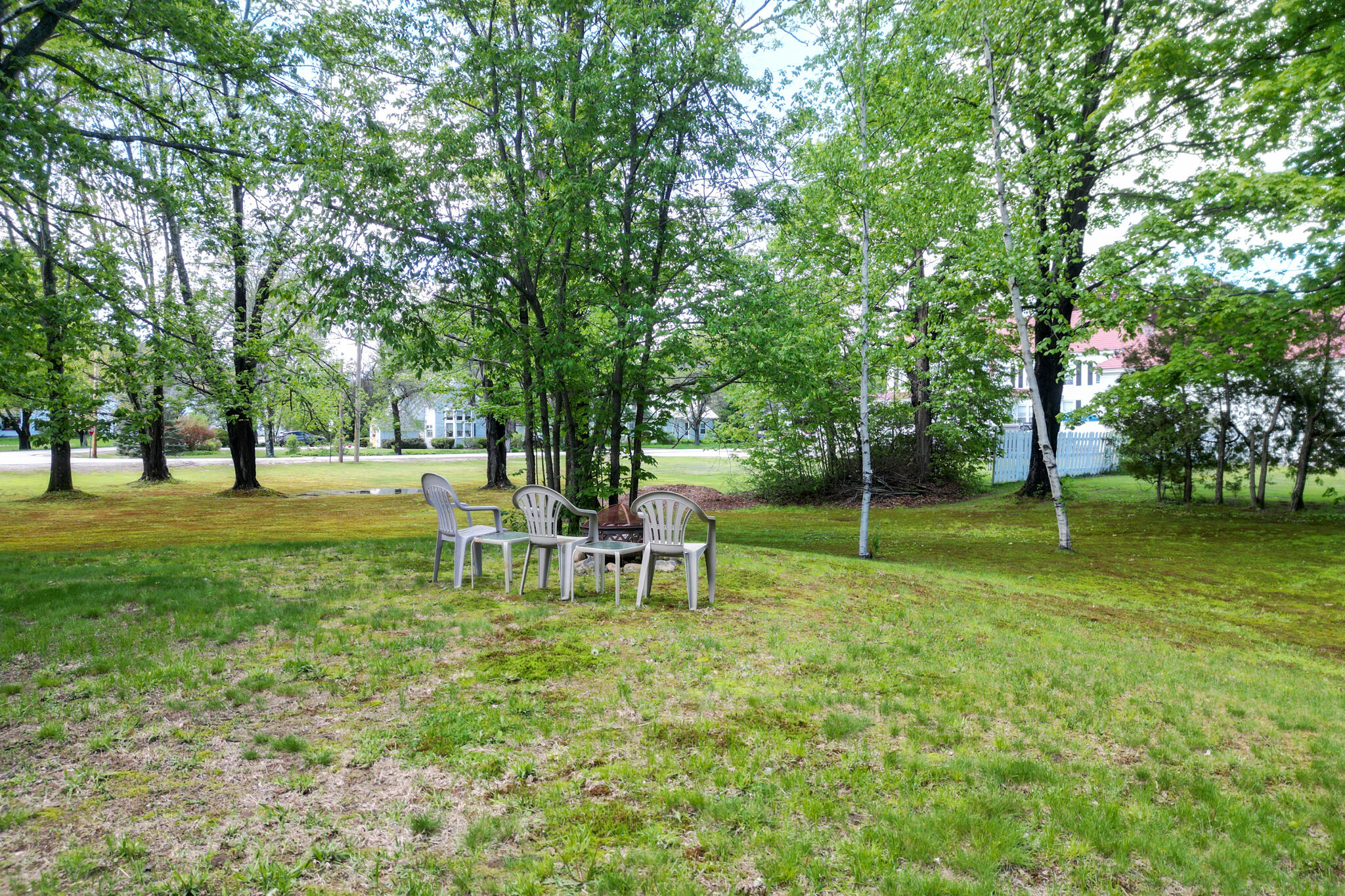 56 Smith Street Property Photo 42