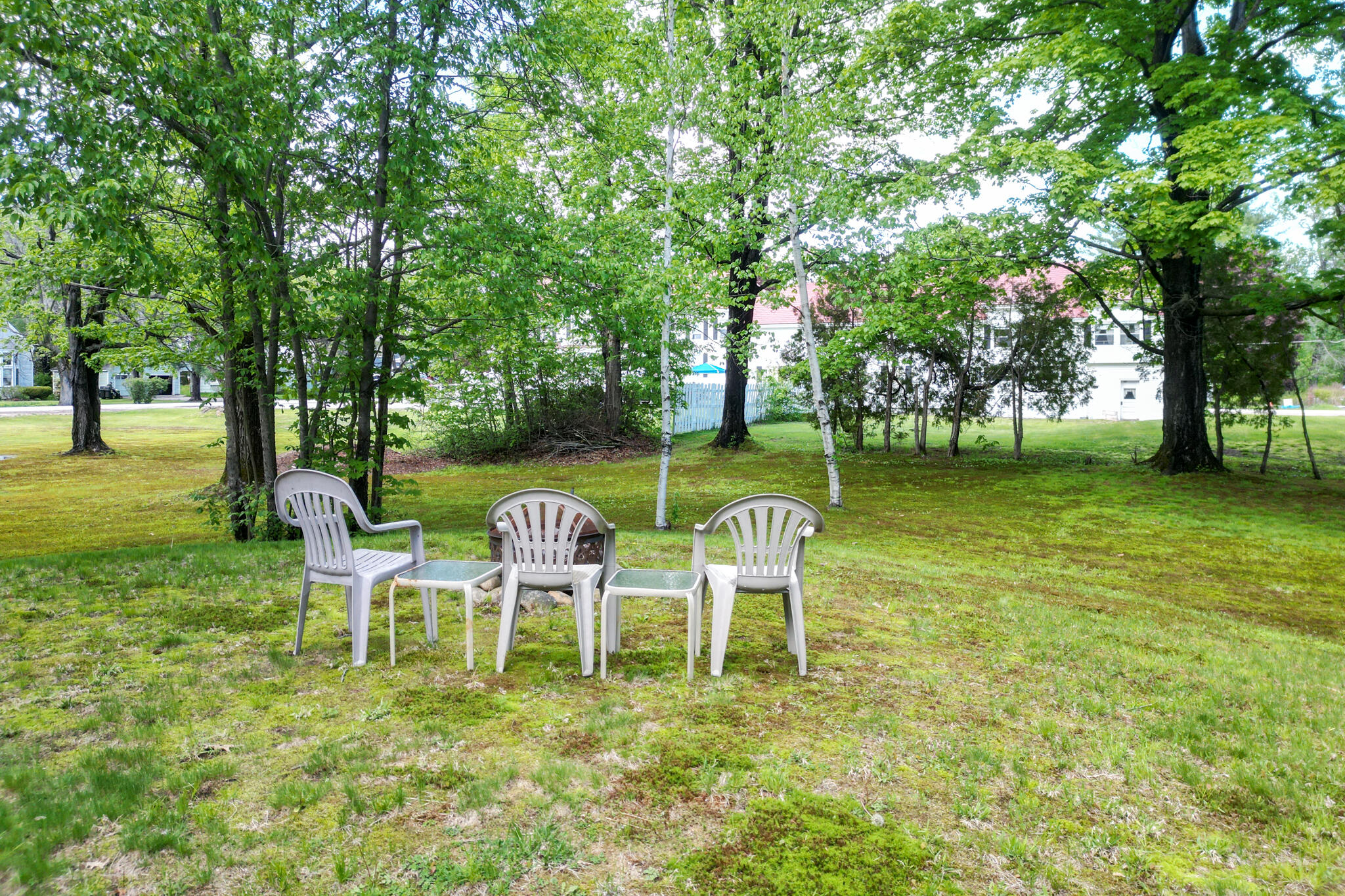 56 Smith Street Property Photo 44