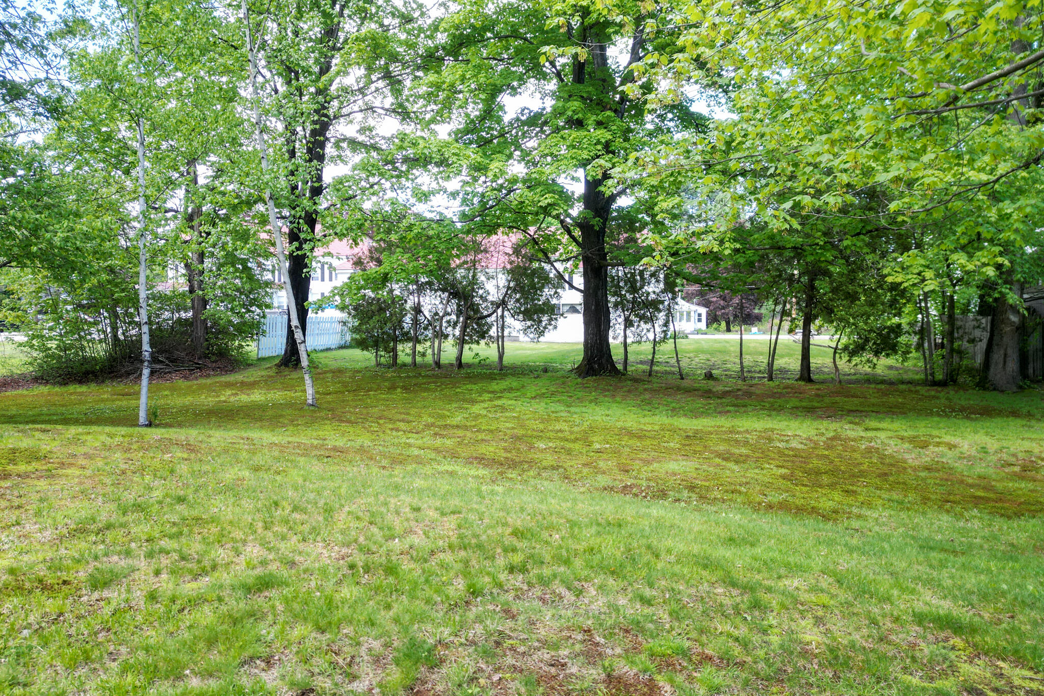 56 Smith Street Property Photo 45