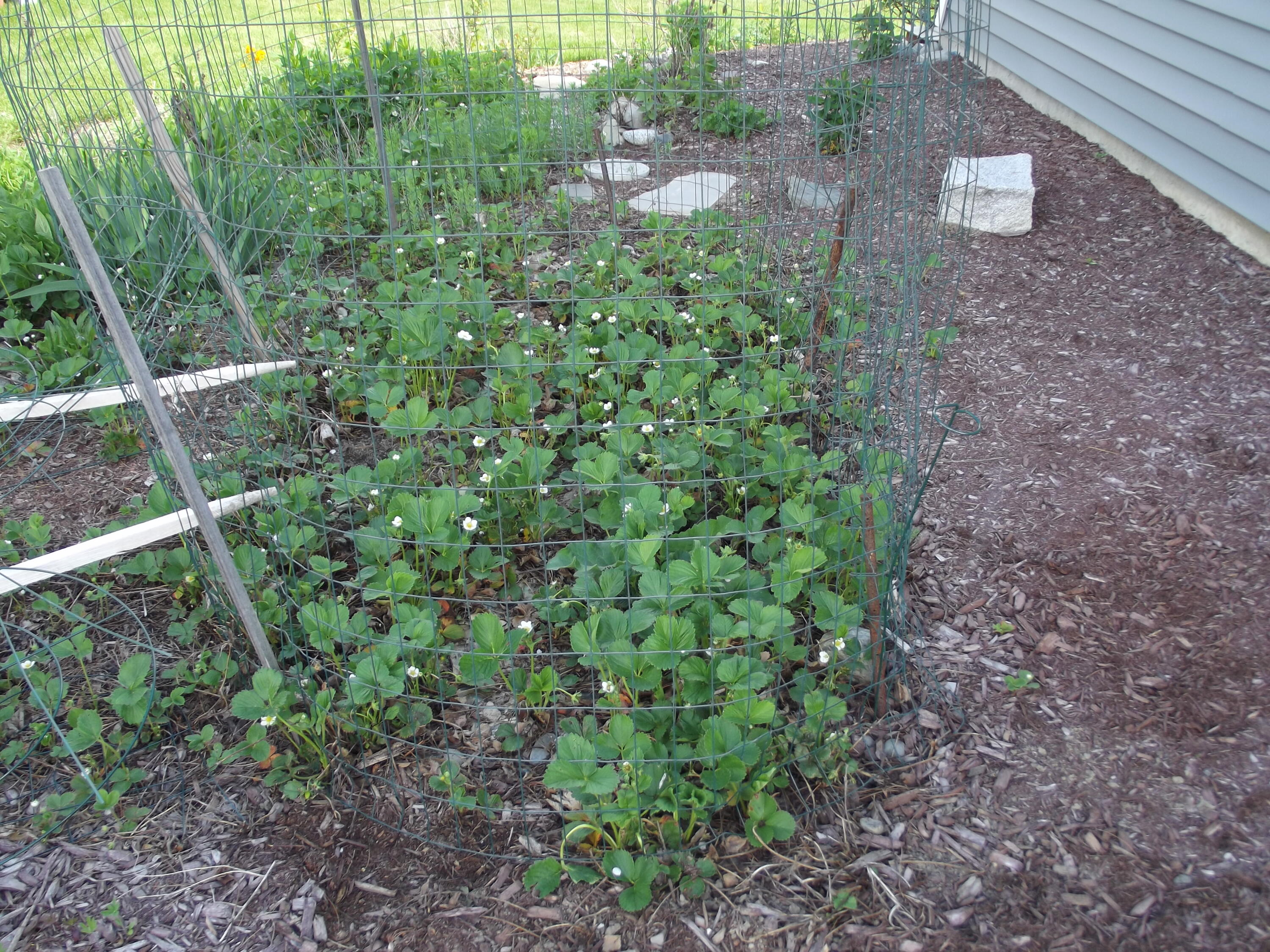 225 Skowhegan Property Photo 40