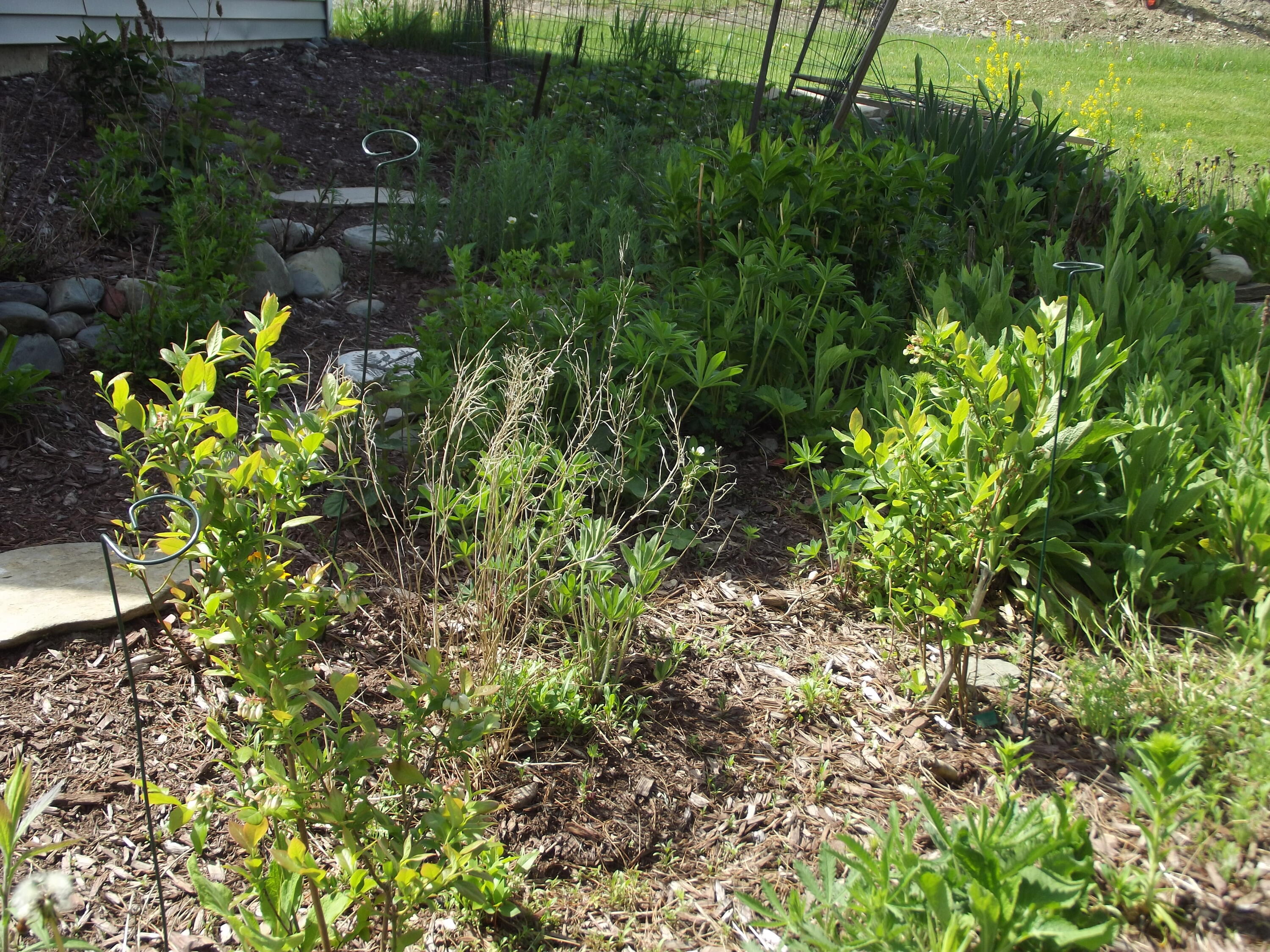 225 Skowhegan Property Photo 41