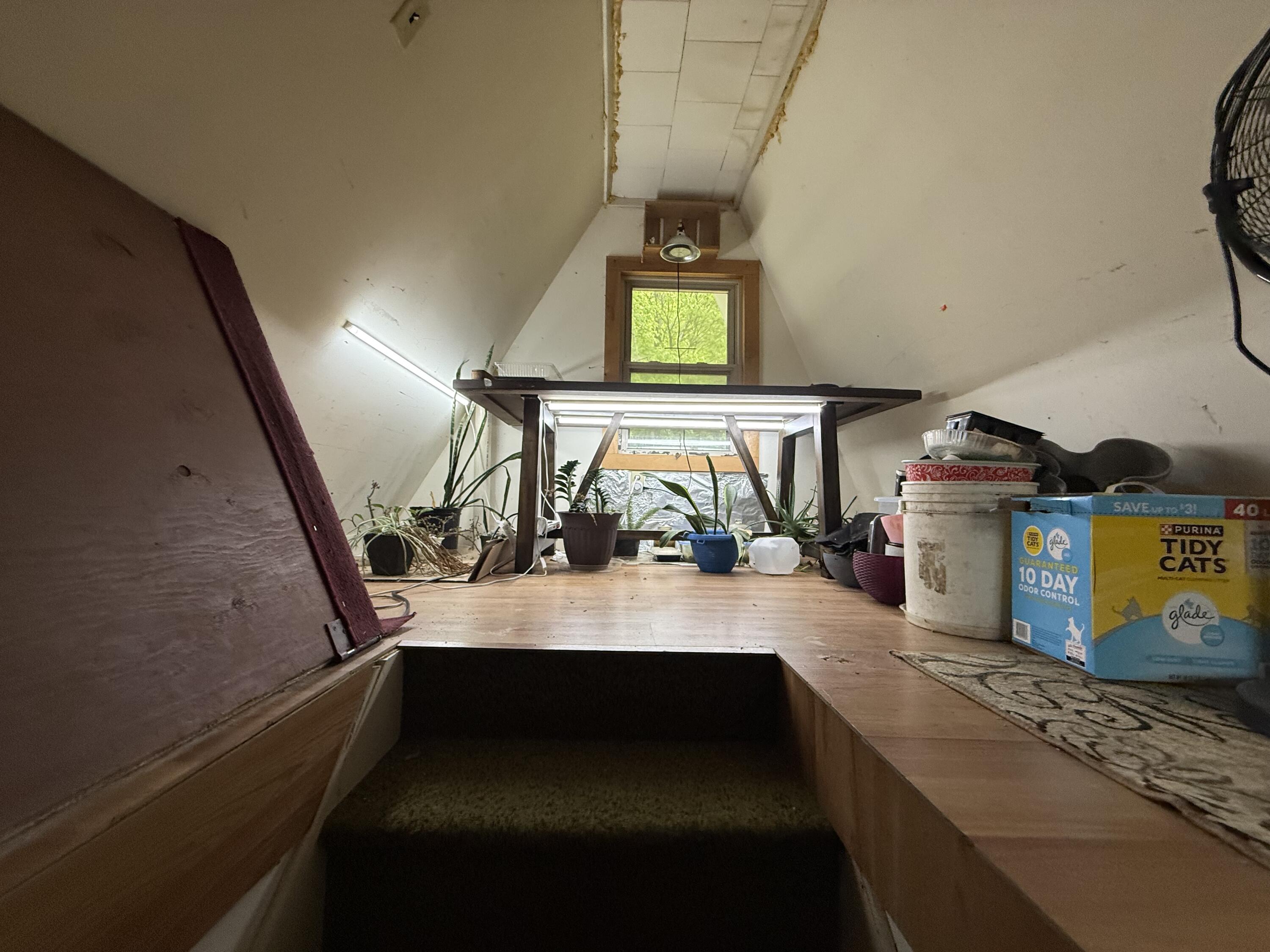 71 Hyde Road Property Photo 18