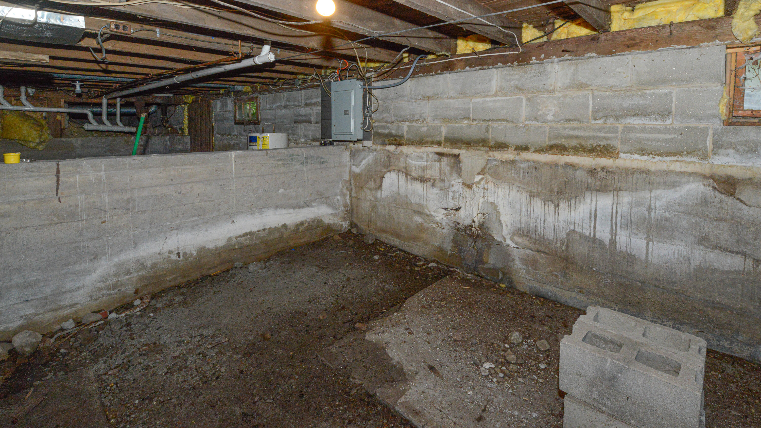 18 Forest Avenue Property Photo 19