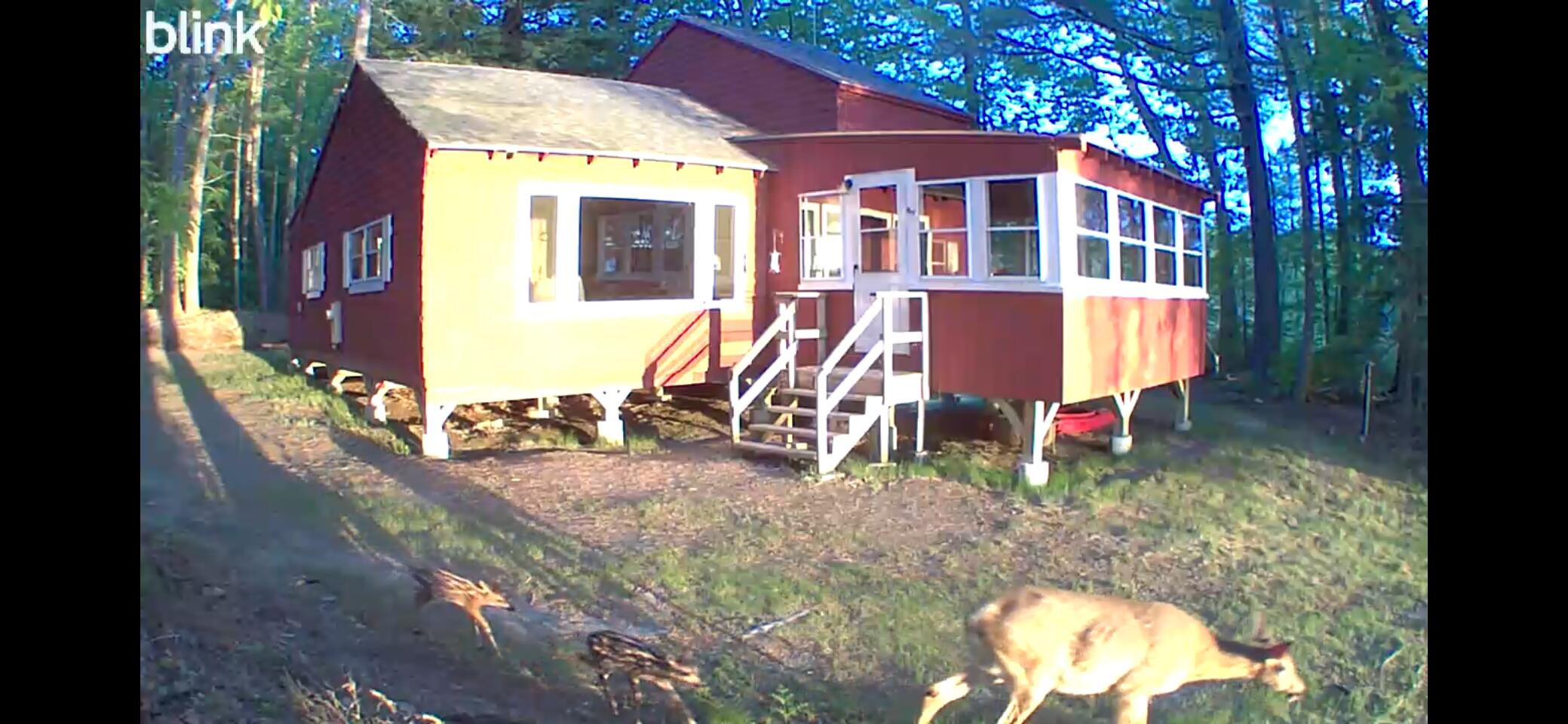 34 Androscoggin Loop Property Photo 37