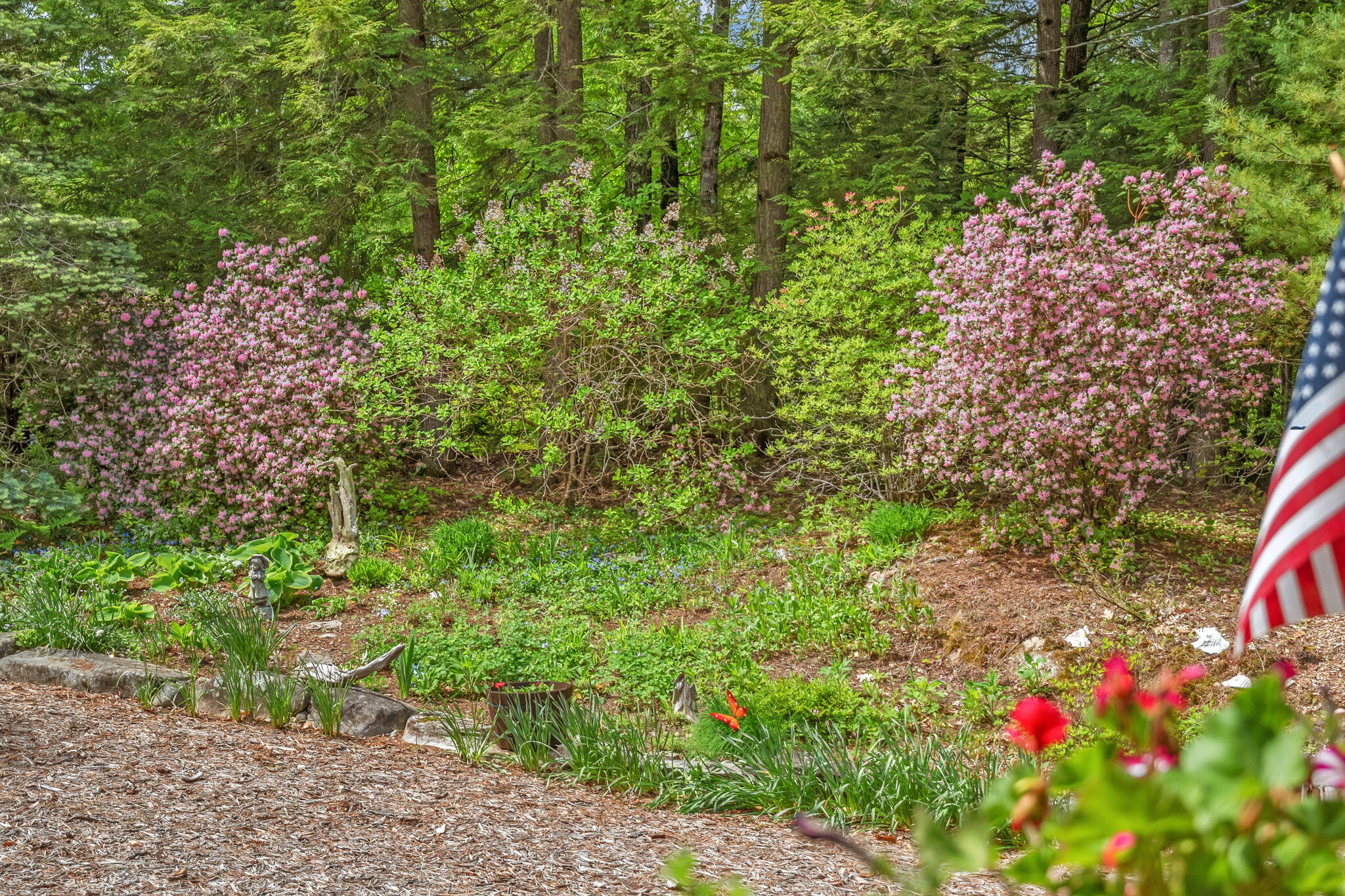 147 Dolloff Woods Road Property Photo 45