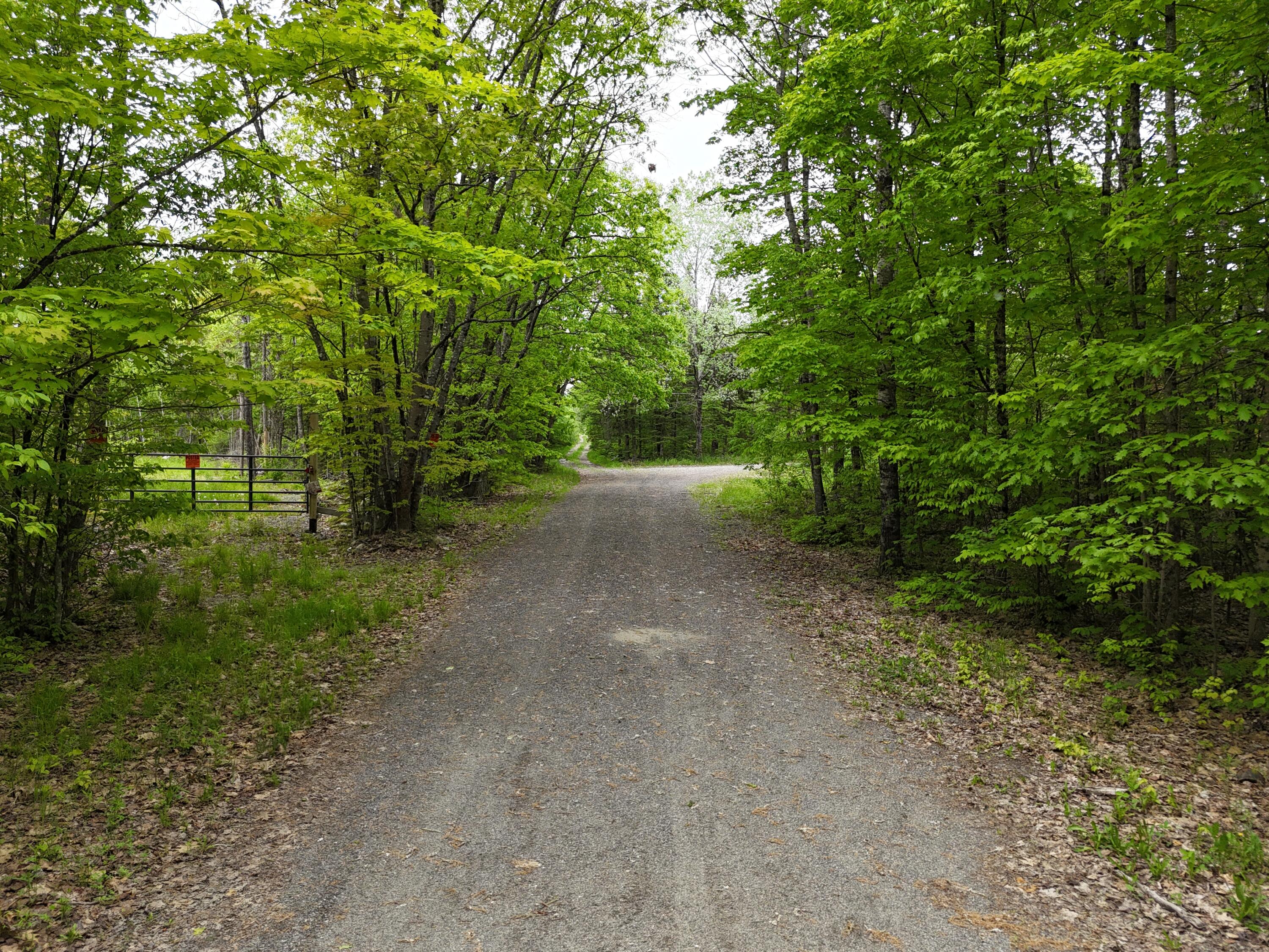 385 Johnson Flat Road Property Photo 47