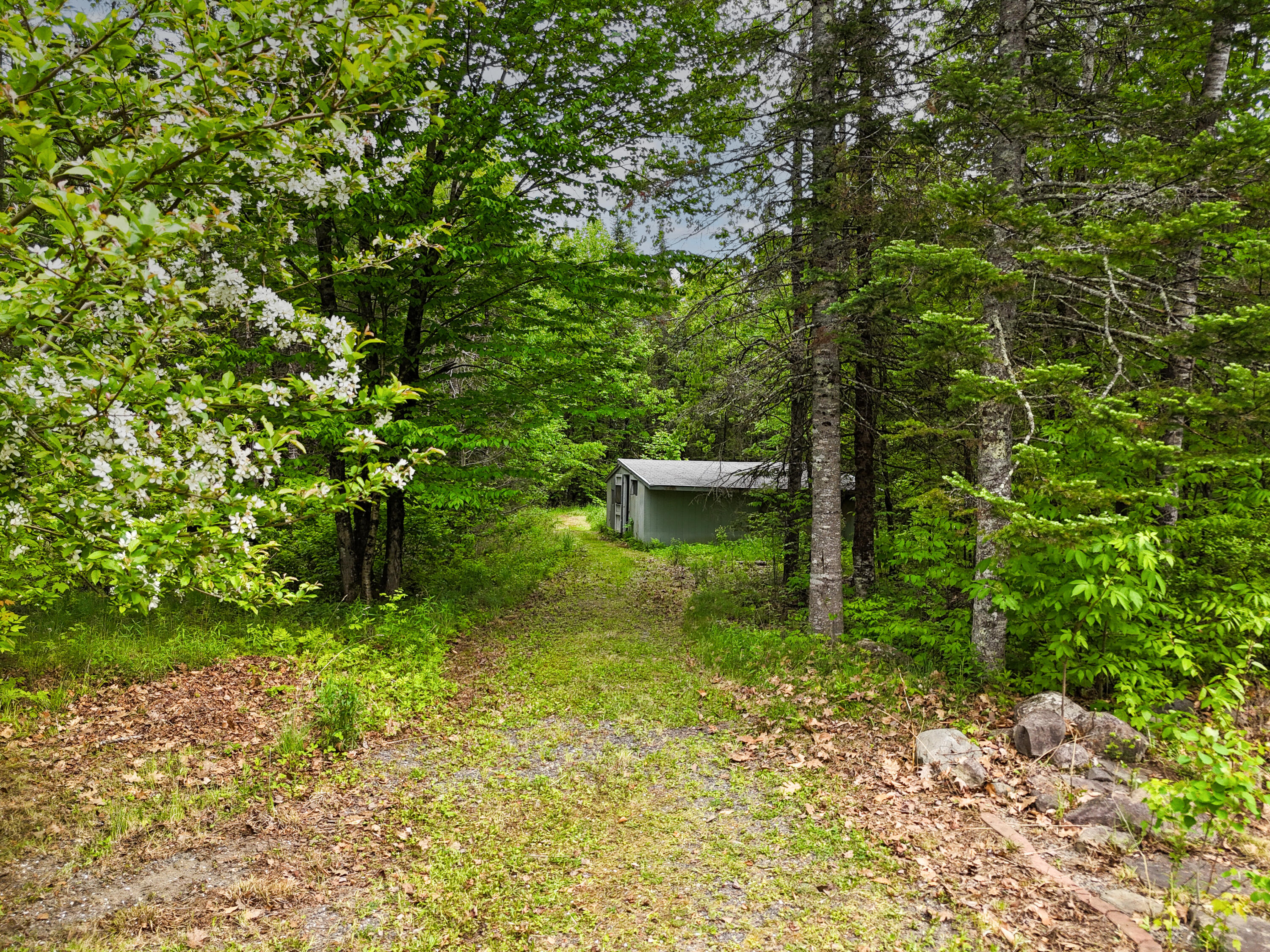 385 Johnson Flat Road Property Photo 50
