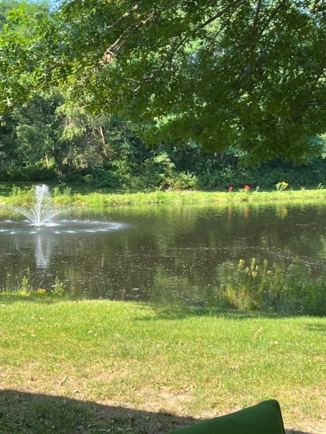 59 Parsons Pond Drive 4205 Property Photo 35