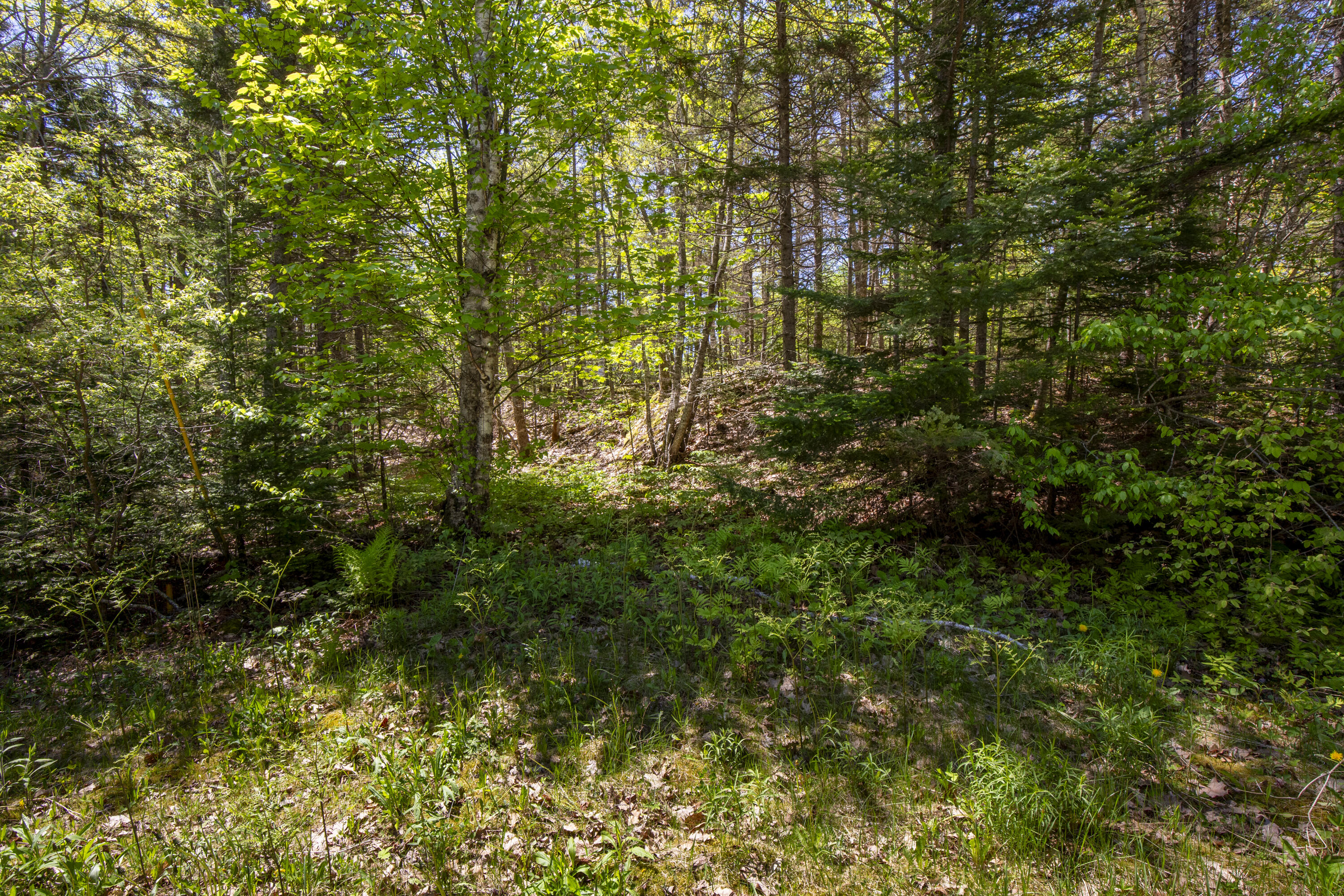Lot 9 Boulder Hill Road Property Photo 4