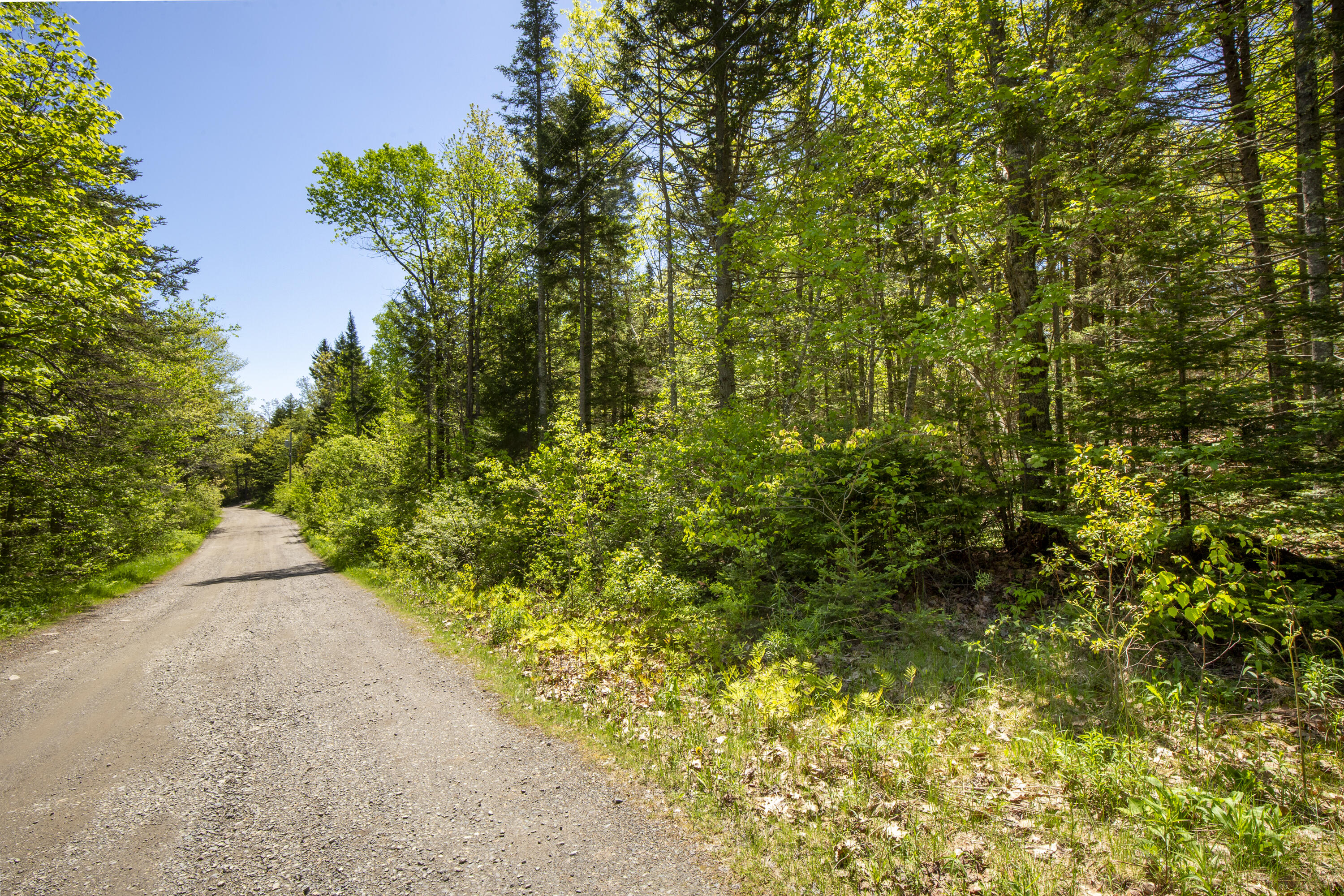 Lot 9 Boulder Hill Road Property Photo 11